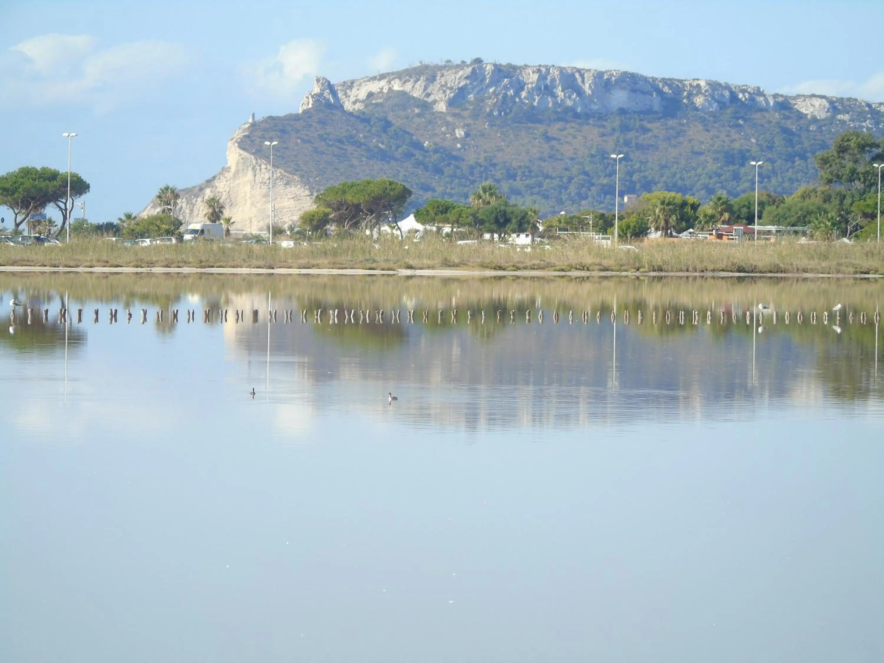 Natural landscape in Villa Graziosa