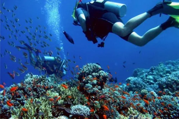 Diving in Villa Graziosa