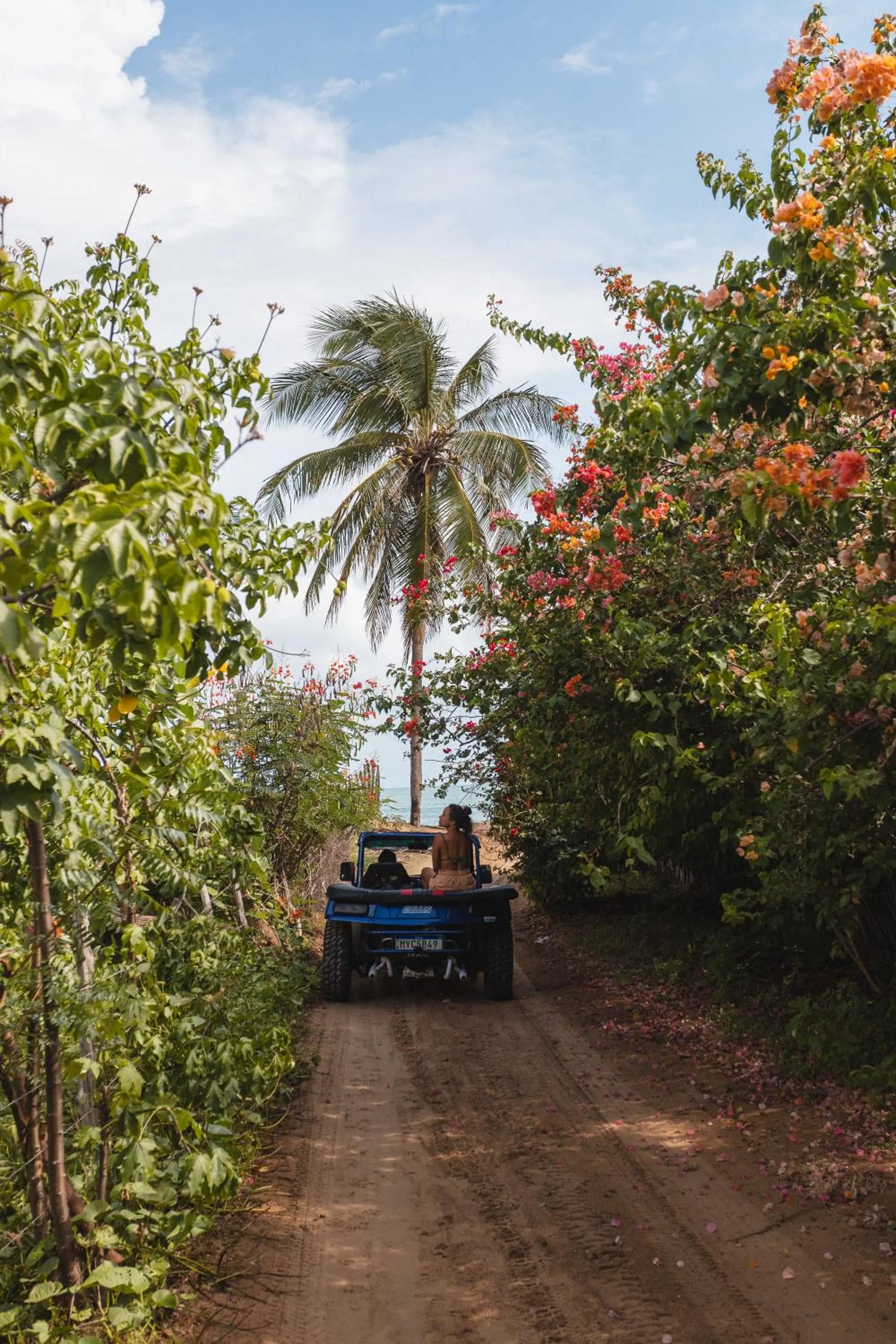 Activities in Villa Siriguela