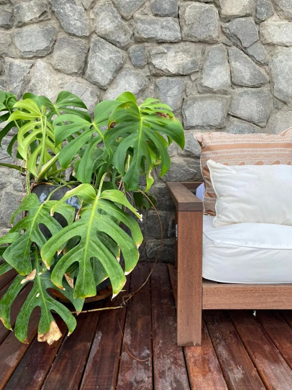 Decorative detail in Villa Siriguela