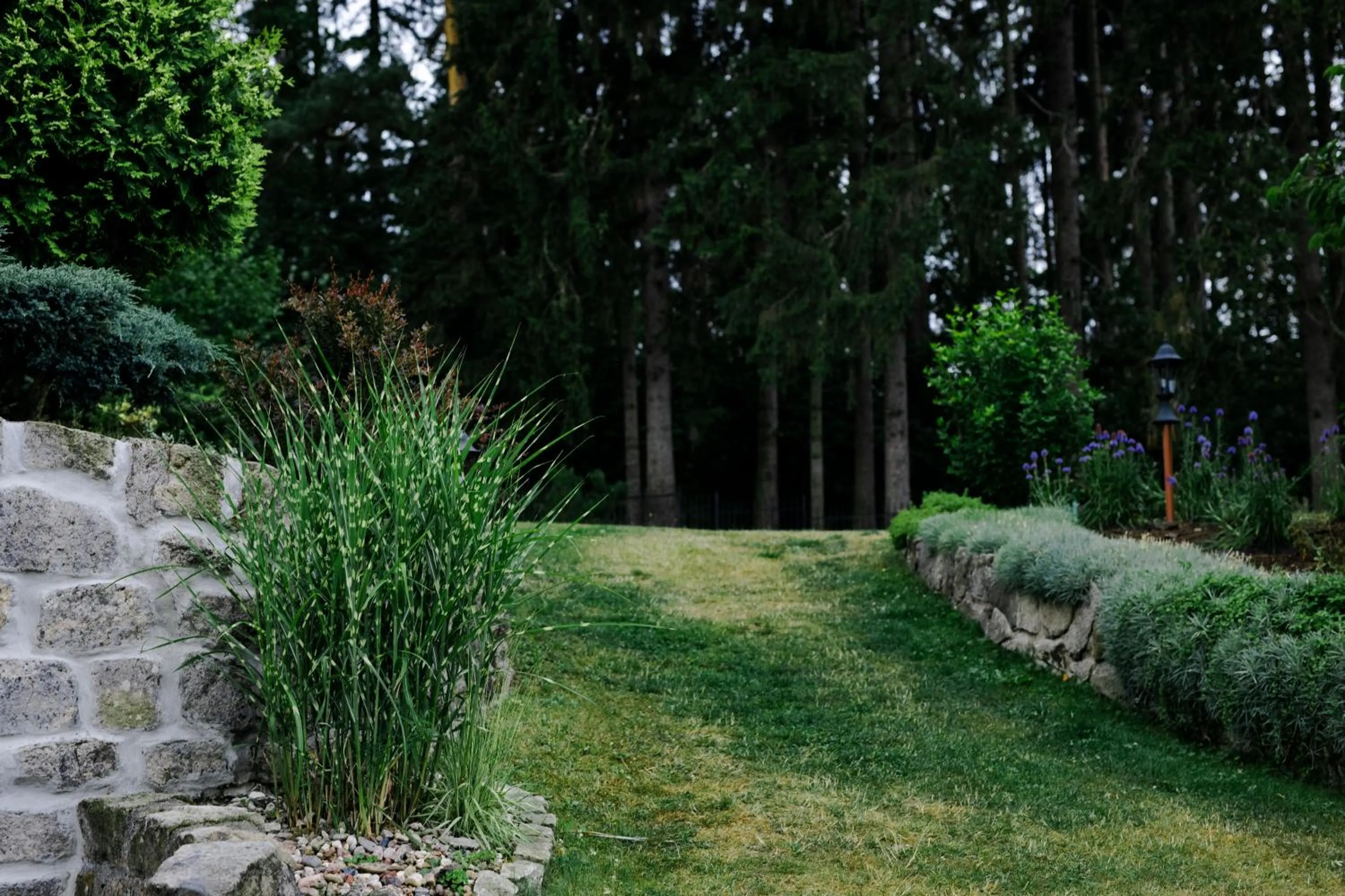 Garden in Willa Brygida Spa