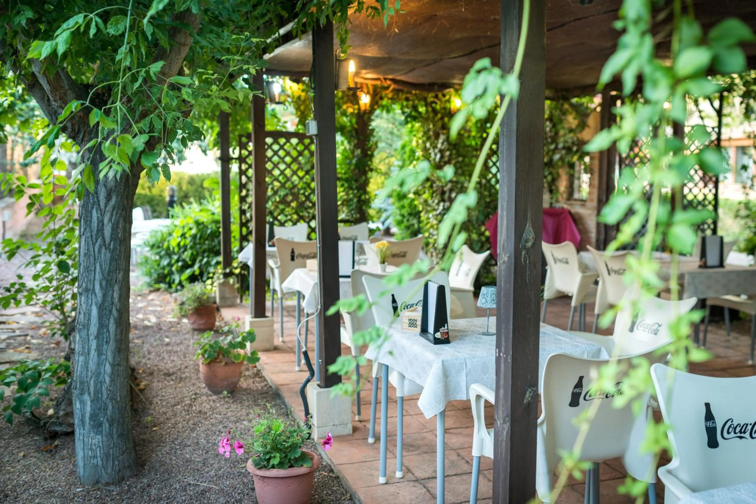 Garden in Hostal Restaurante Rijujama