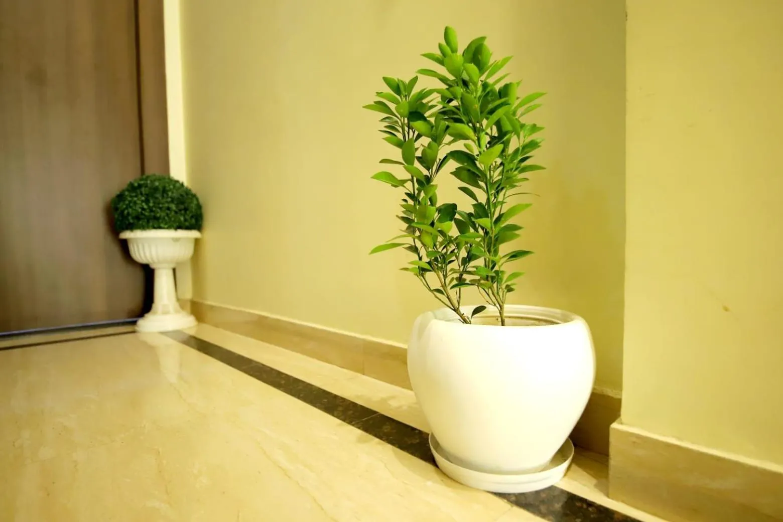 Bathroom in Hotel Blue Star