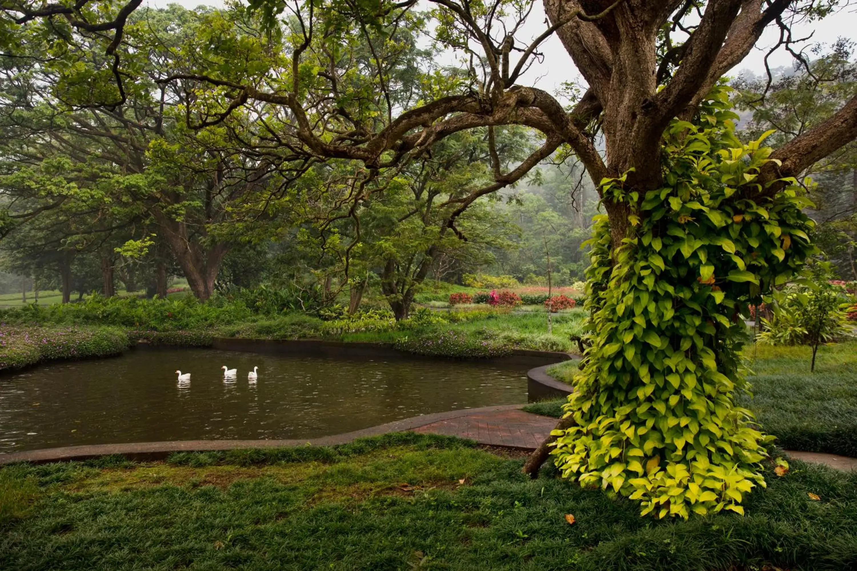 Garden view in amã Stays & Sluice House Lonavala Garden view in amã Stays & Sluice House Lonavala