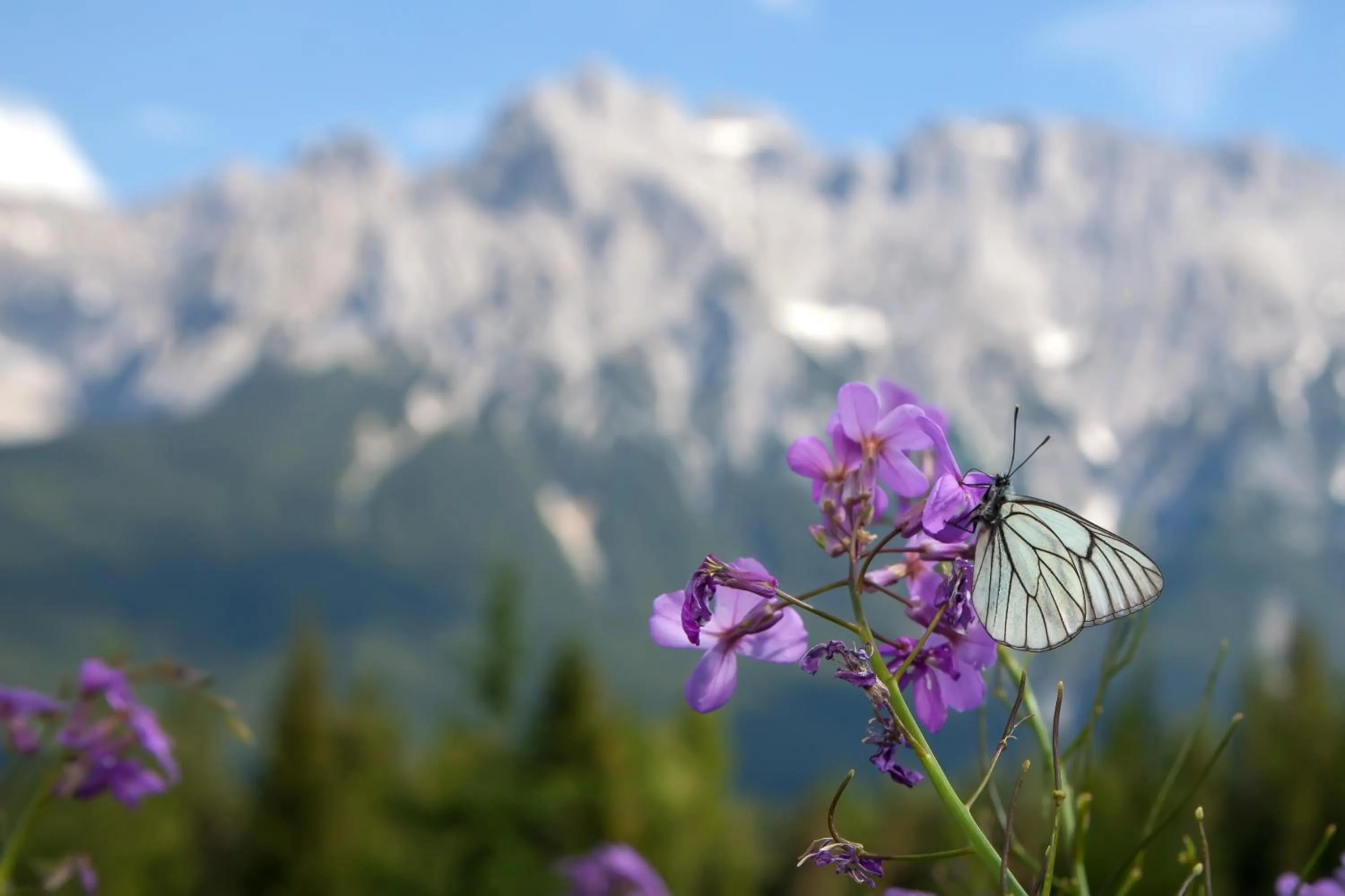 Area and facilities in Gästehaus Edlhuber