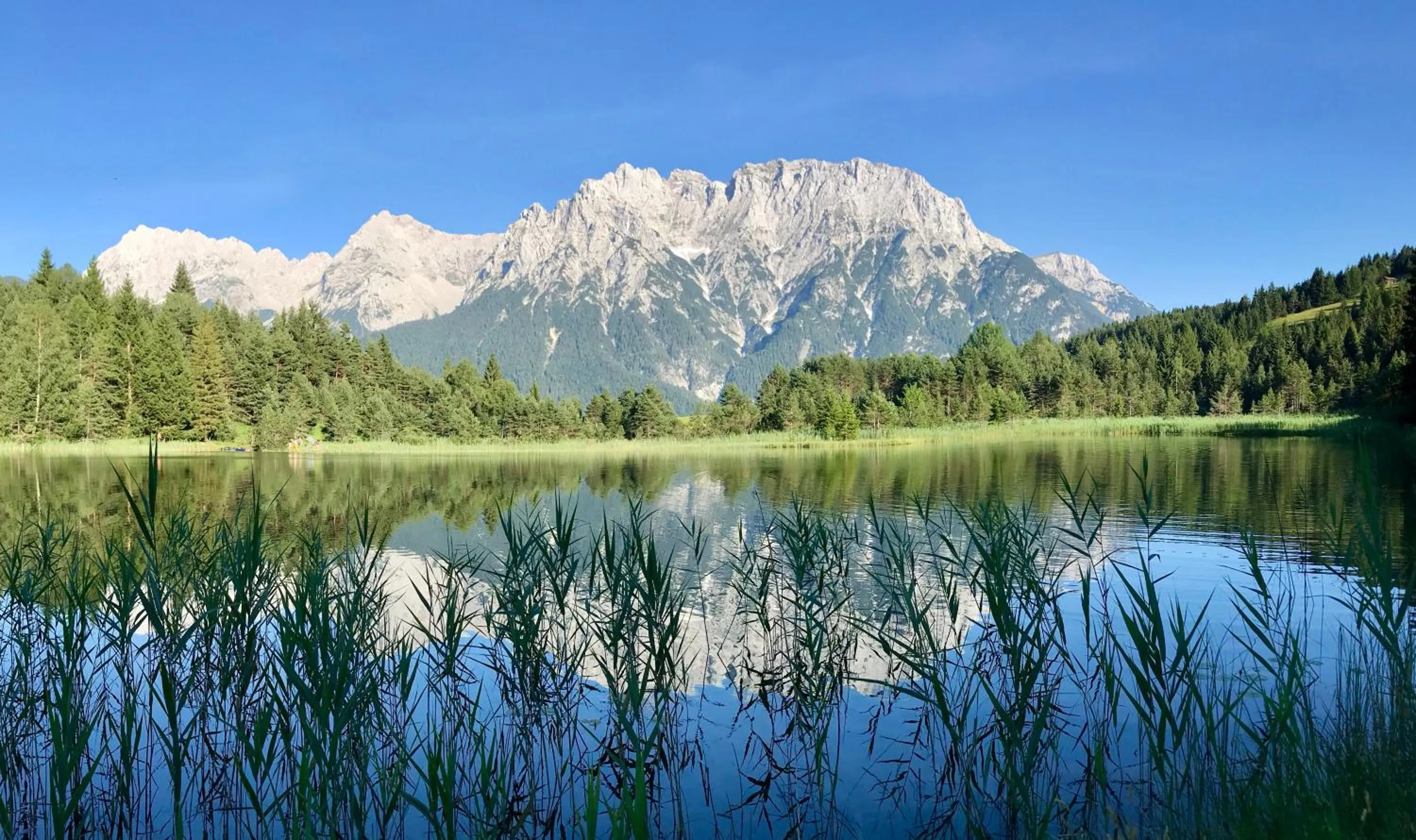 Natural landscape in Gästehaus Edlhuber