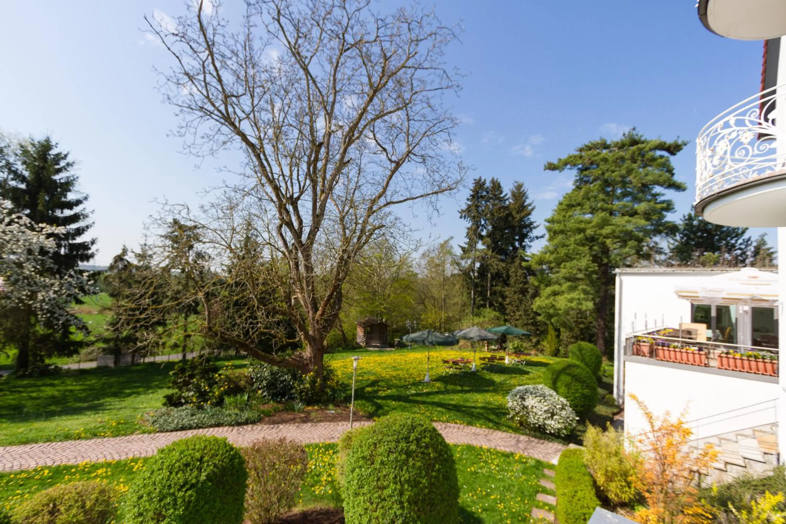 View (from property/room) in Hotel Birkenhof