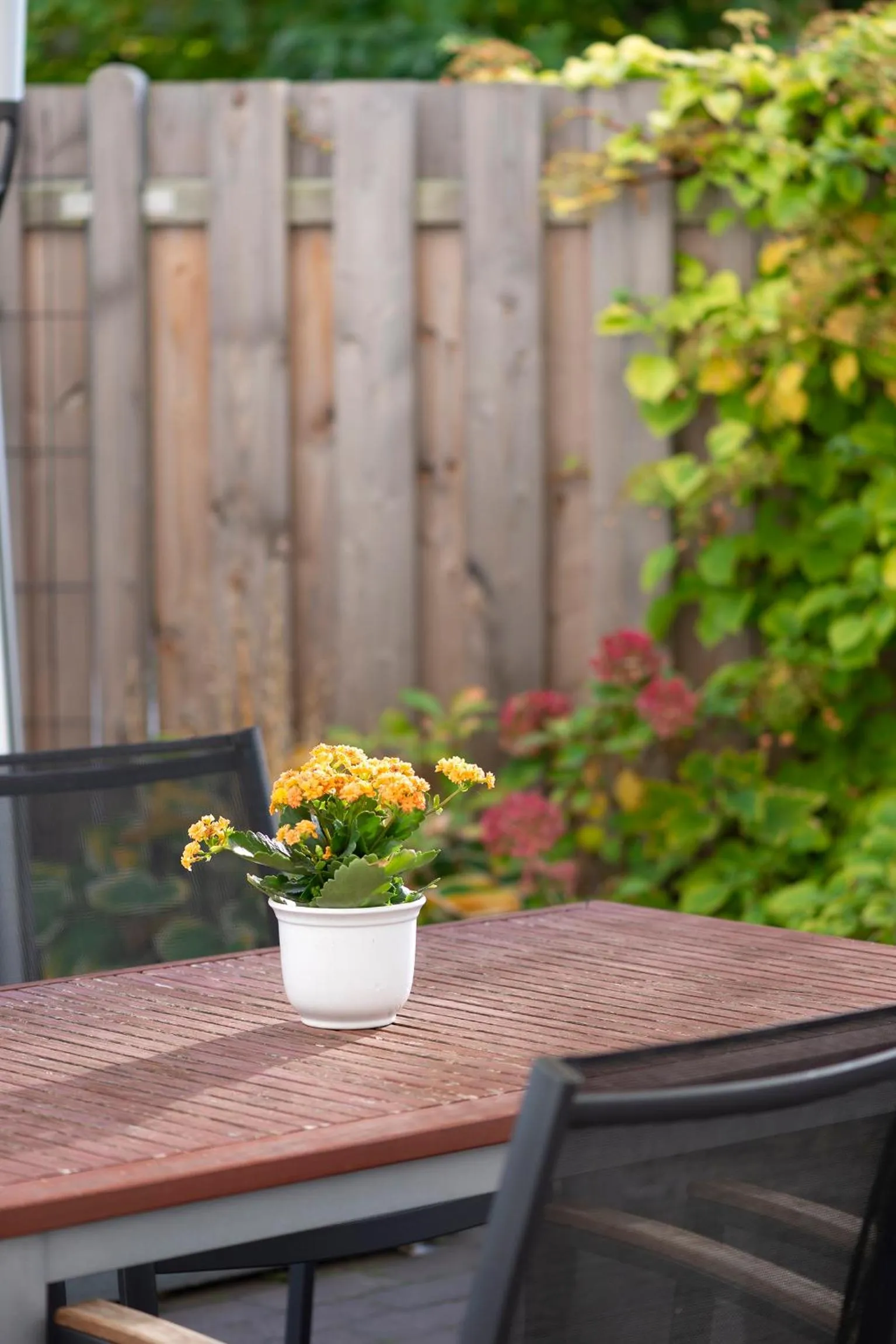 Balcony/Terrace in Hotel Westerfeld