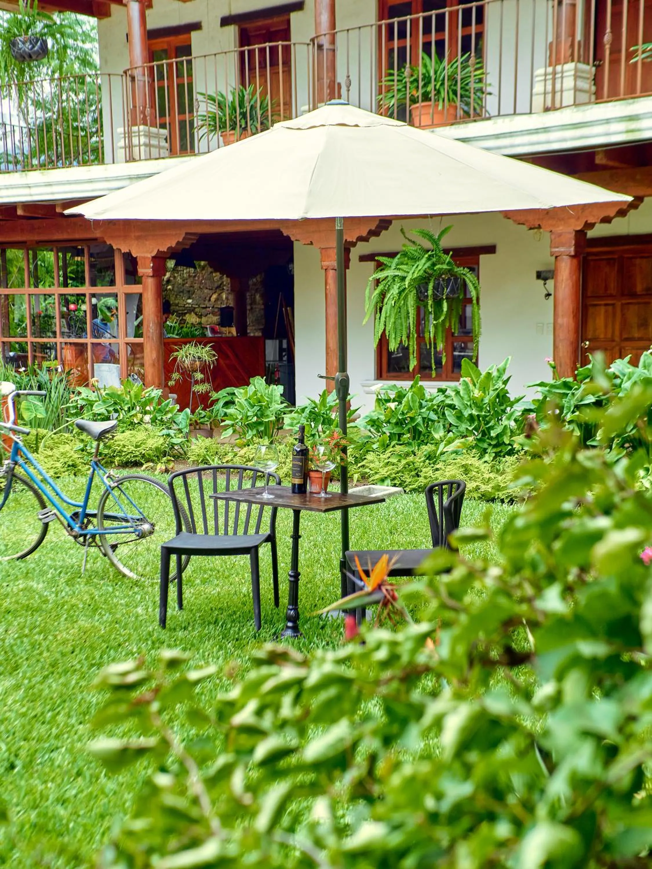 Garden in Hotel Cacique Real