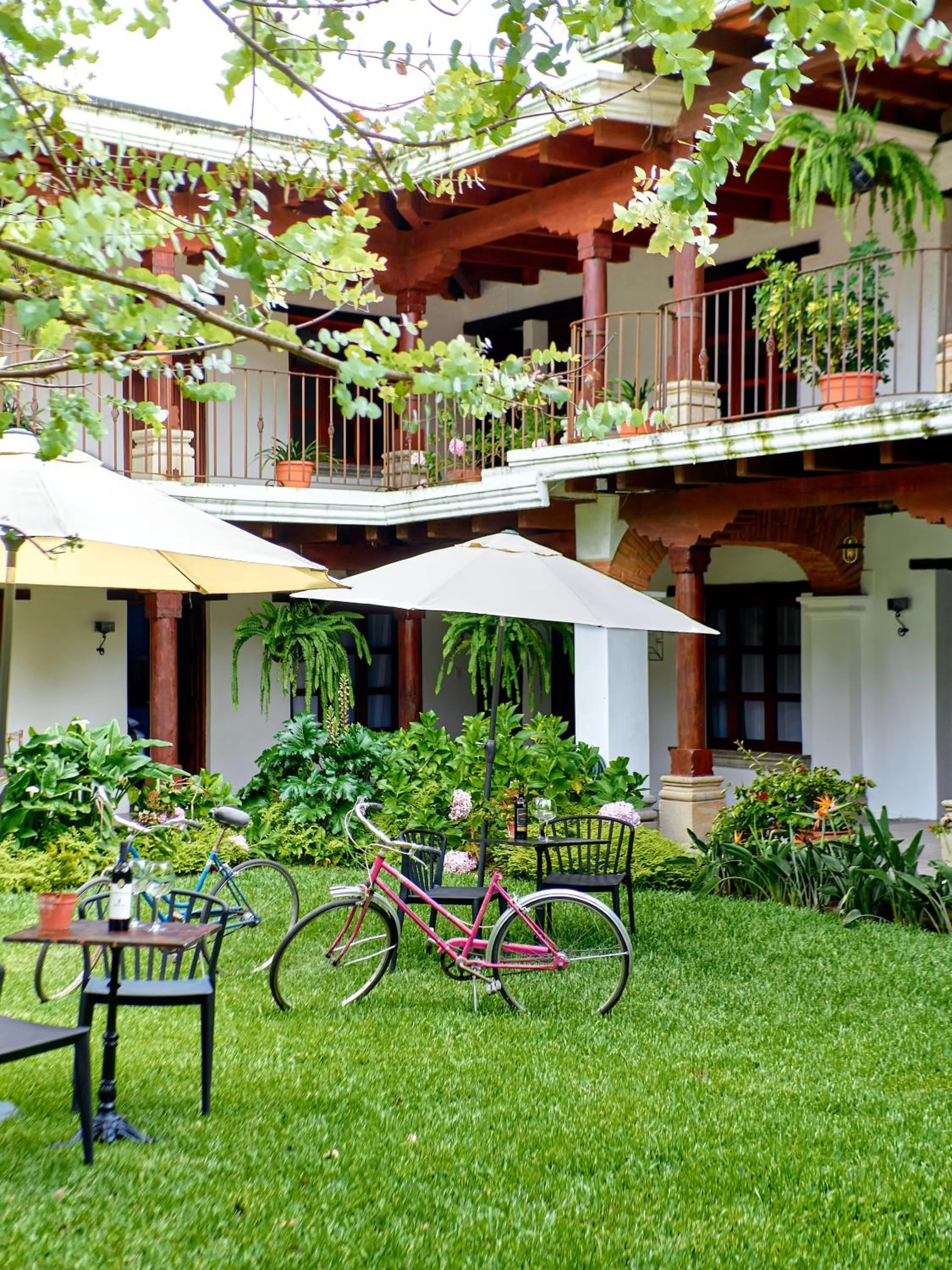 Garden in Hotel Cacique Real