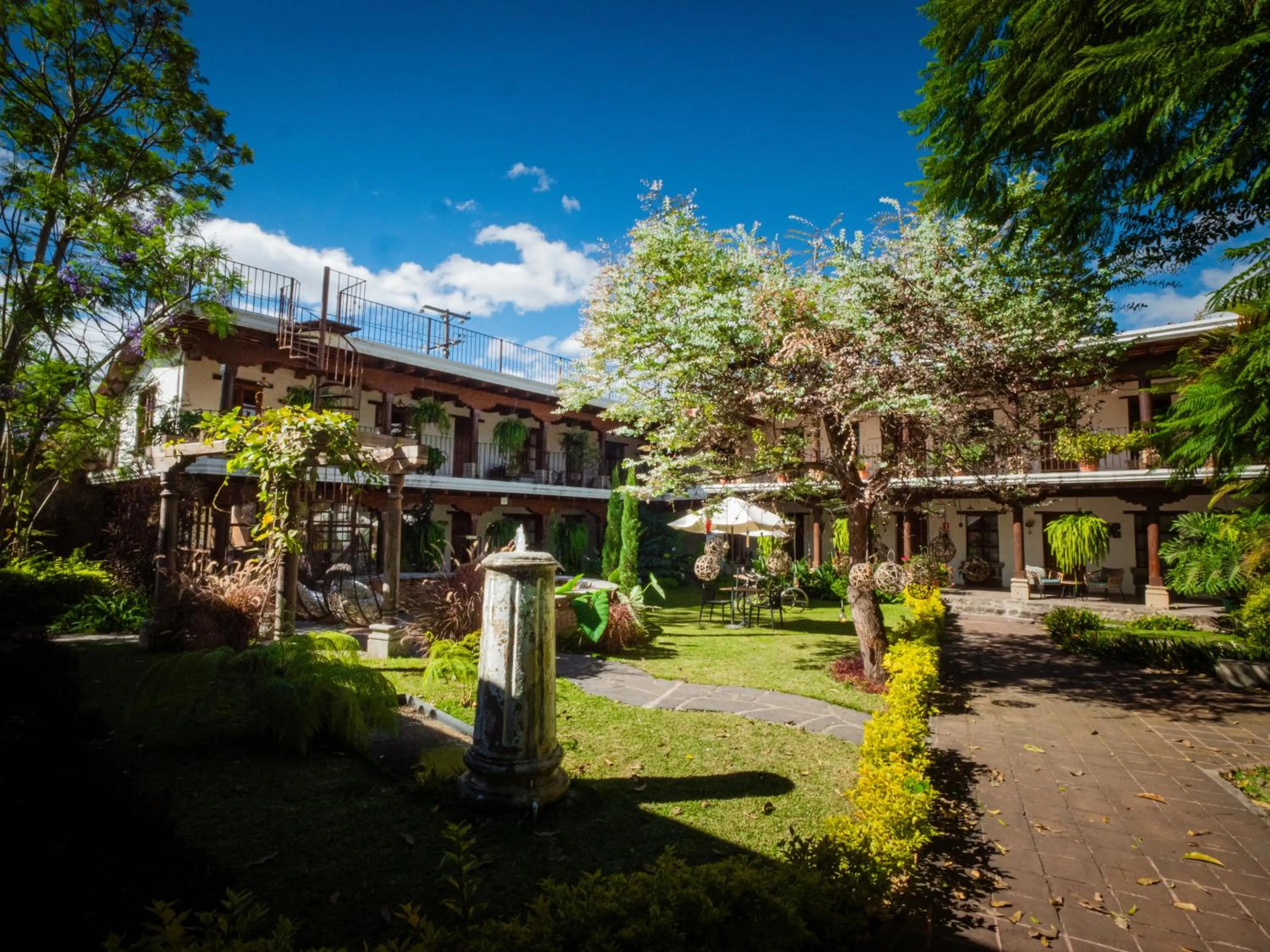 Garden in Hotel Cacique Real