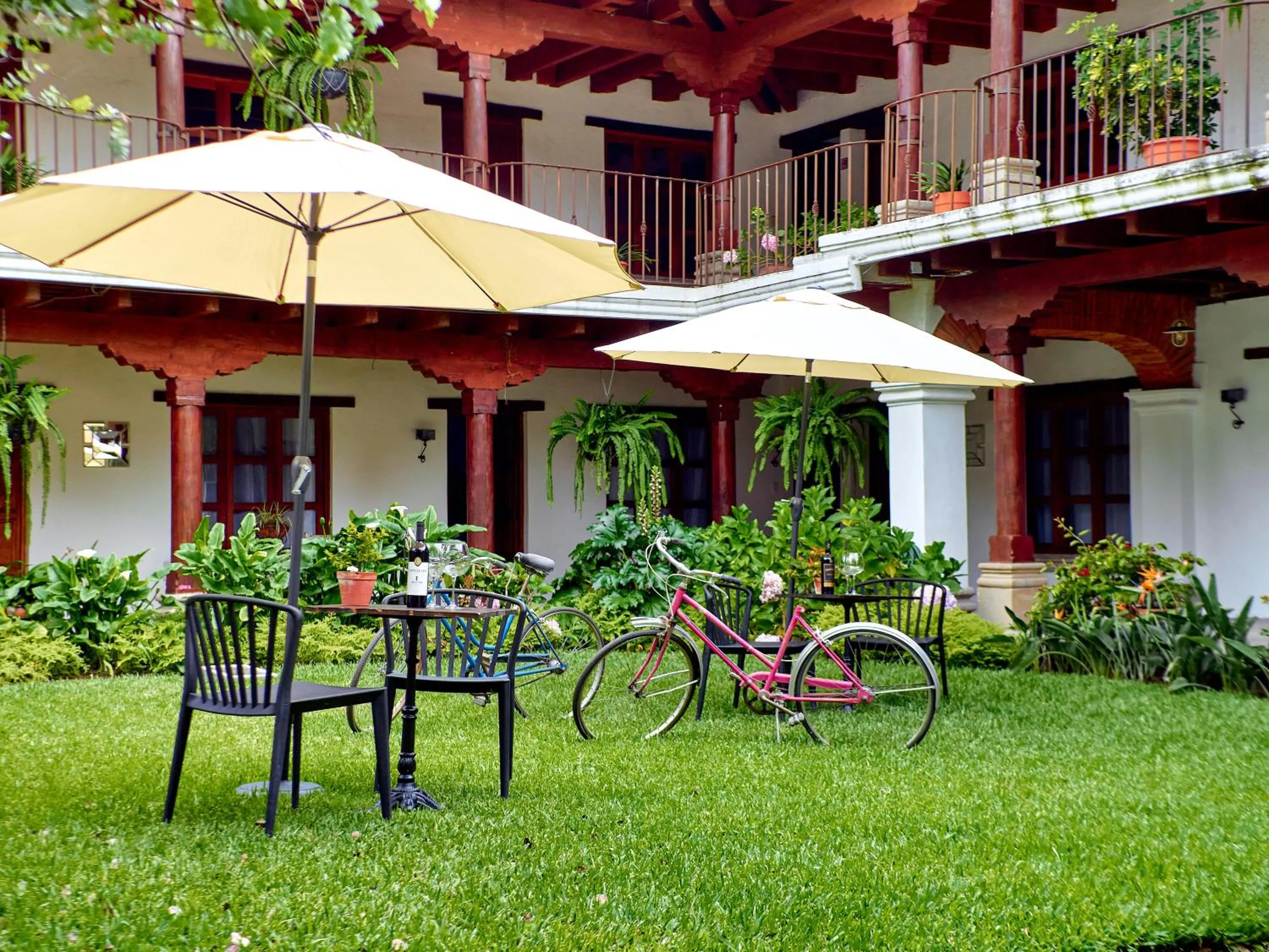 Garden in Hotel Cacique Real