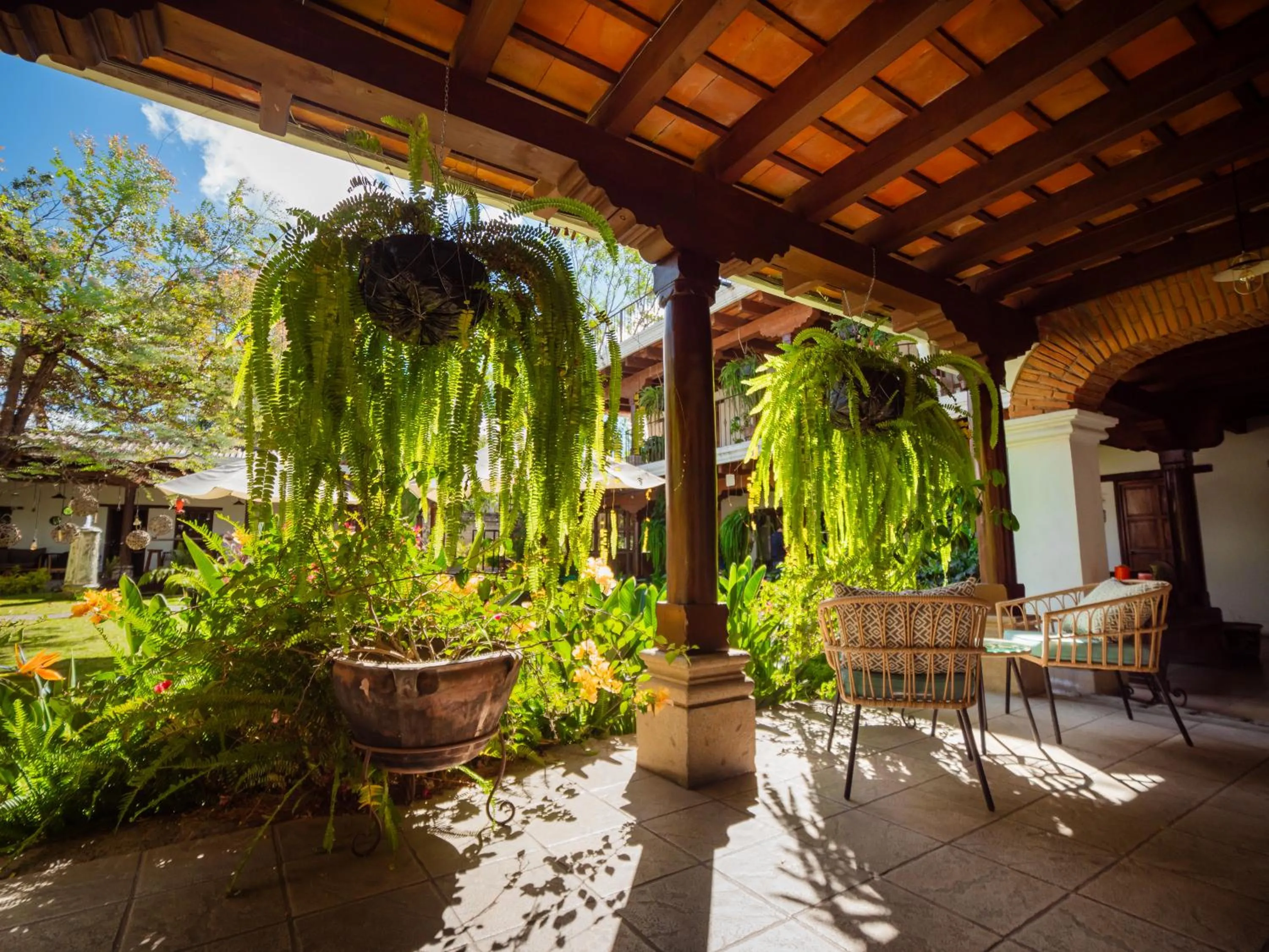 Garden view in Hotel Cacique Real