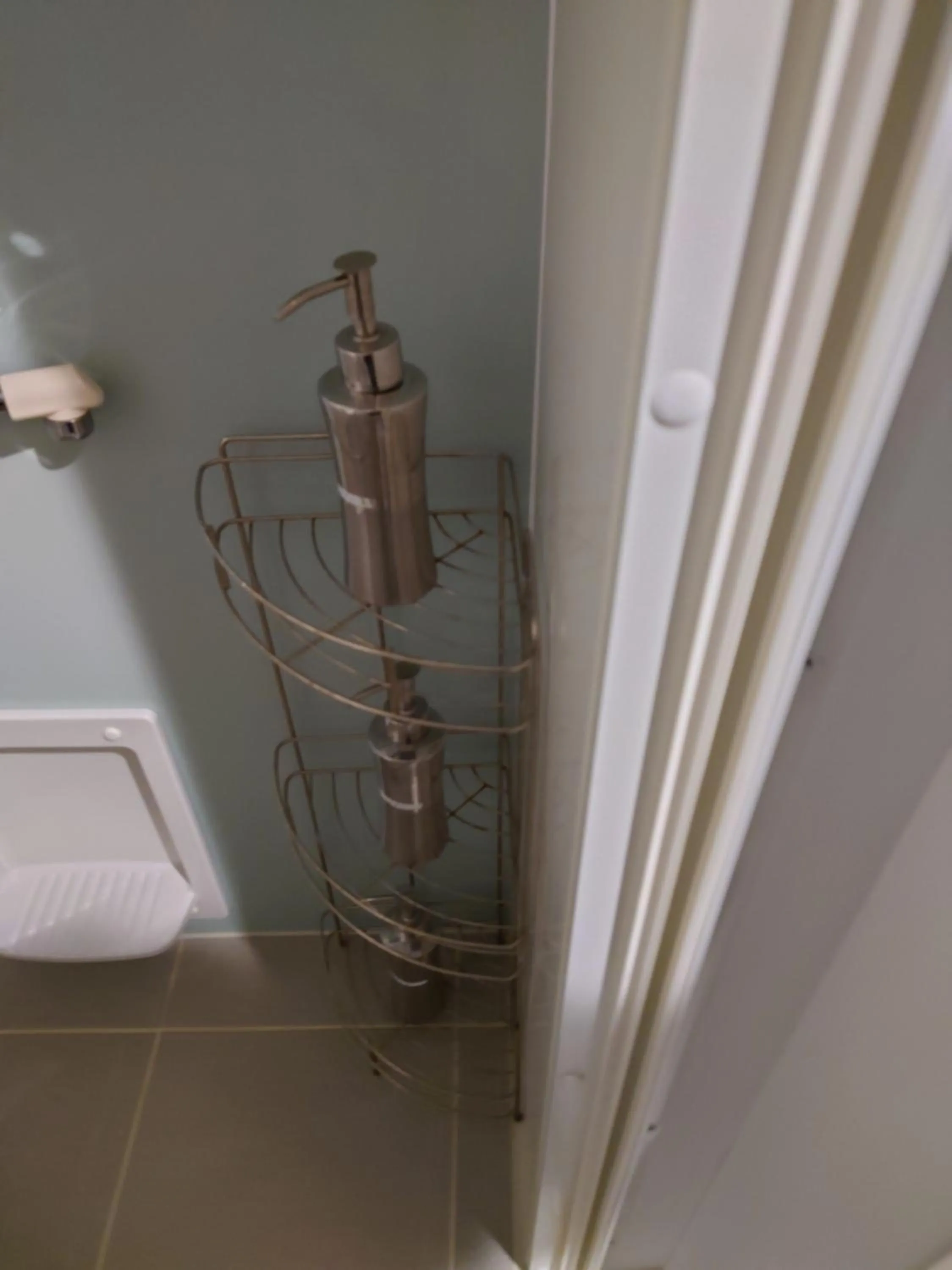 Shower in Maple Sumikawa #202