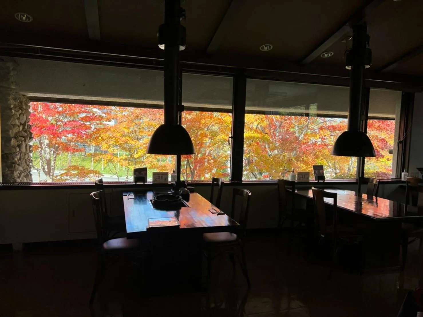 Restaurant/places to eat in Apikogen Mori no Hotel