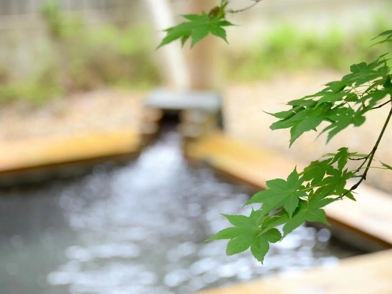 Hot Spring Bath in Apikogen Mori no Hotel