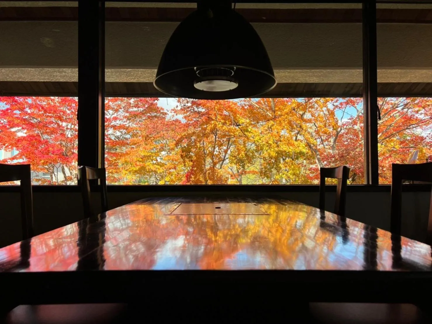 Restaurant/places to eat in Apikogen Mori no Hotel