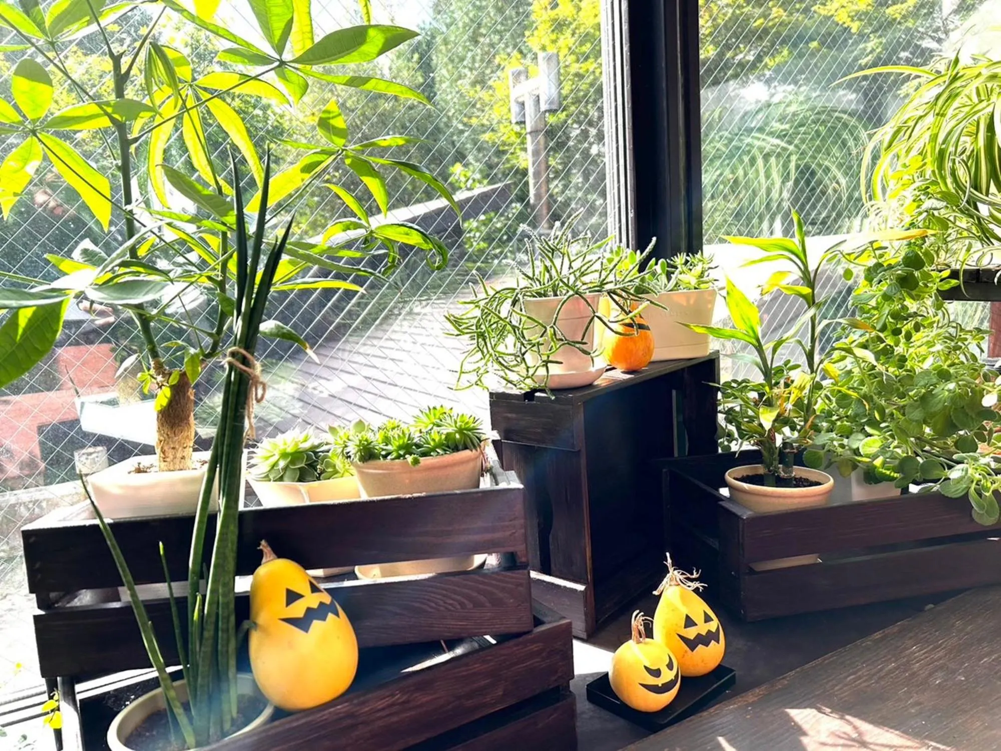 Autumn in Apikogen Mori no Hotel