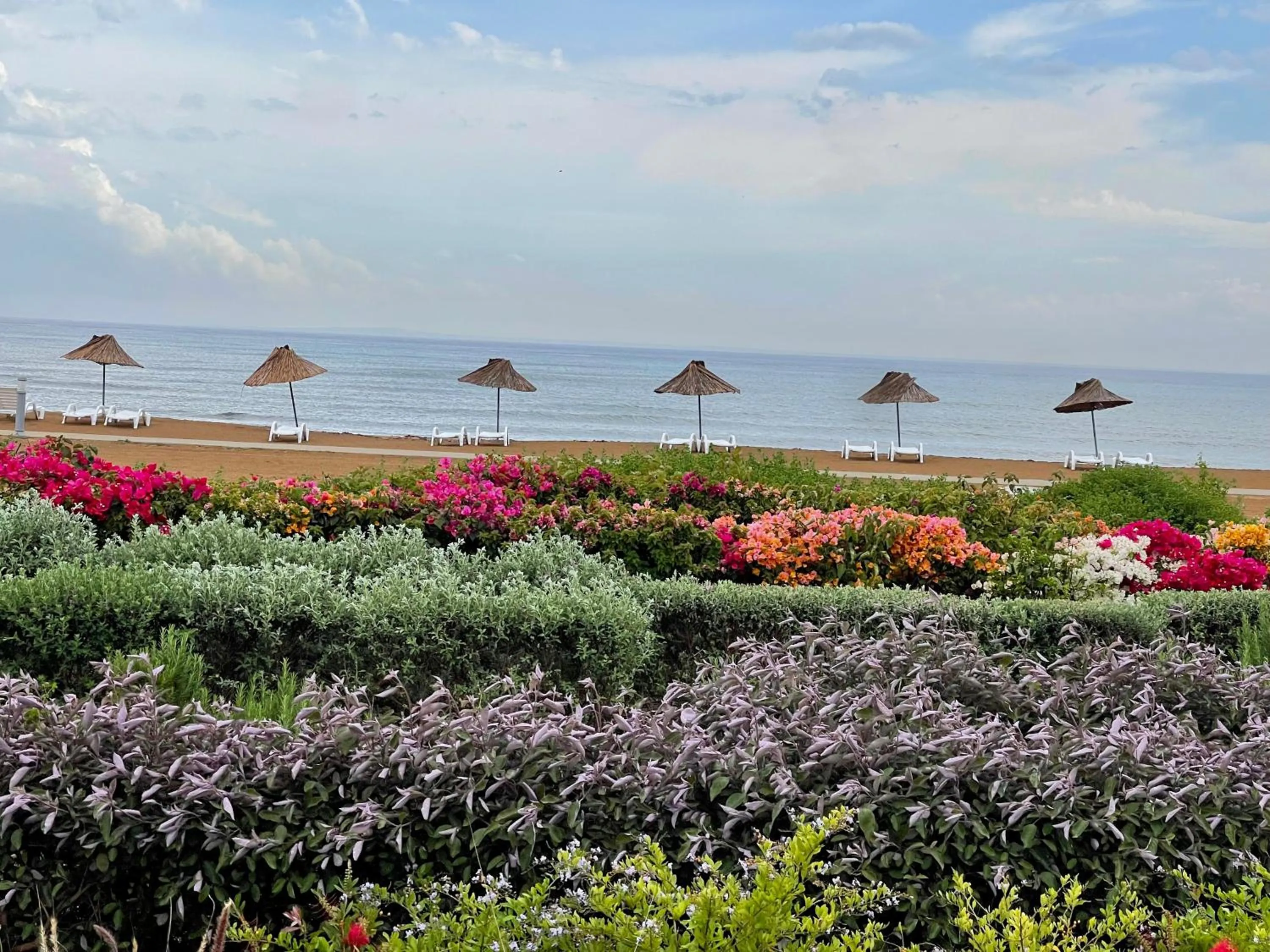 Natural landscape in Peaceful Run-a-way by the Sea