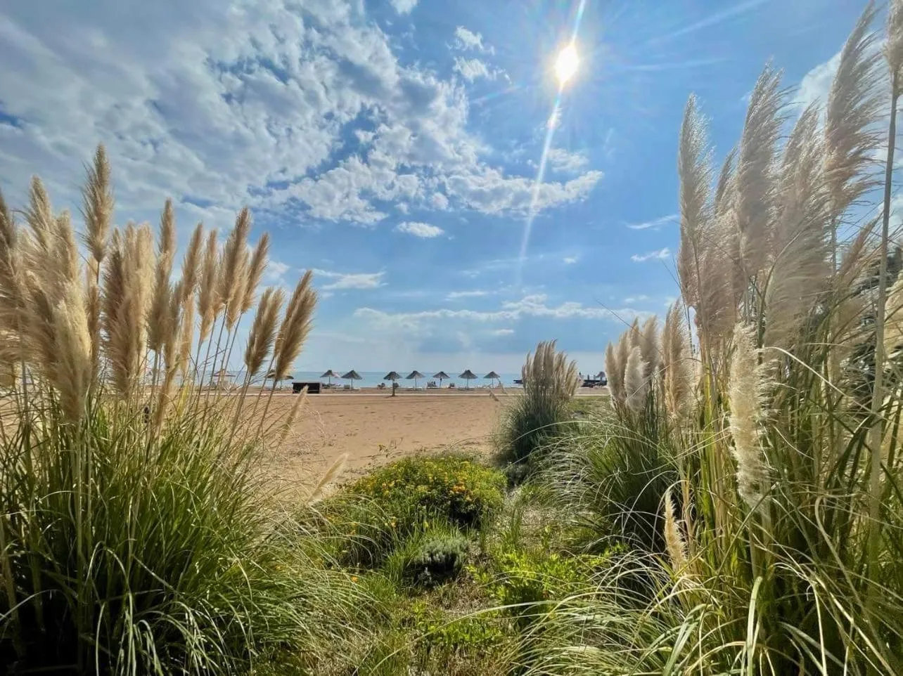 Natural landscape in Peaceful Run-a-way by the Sea
