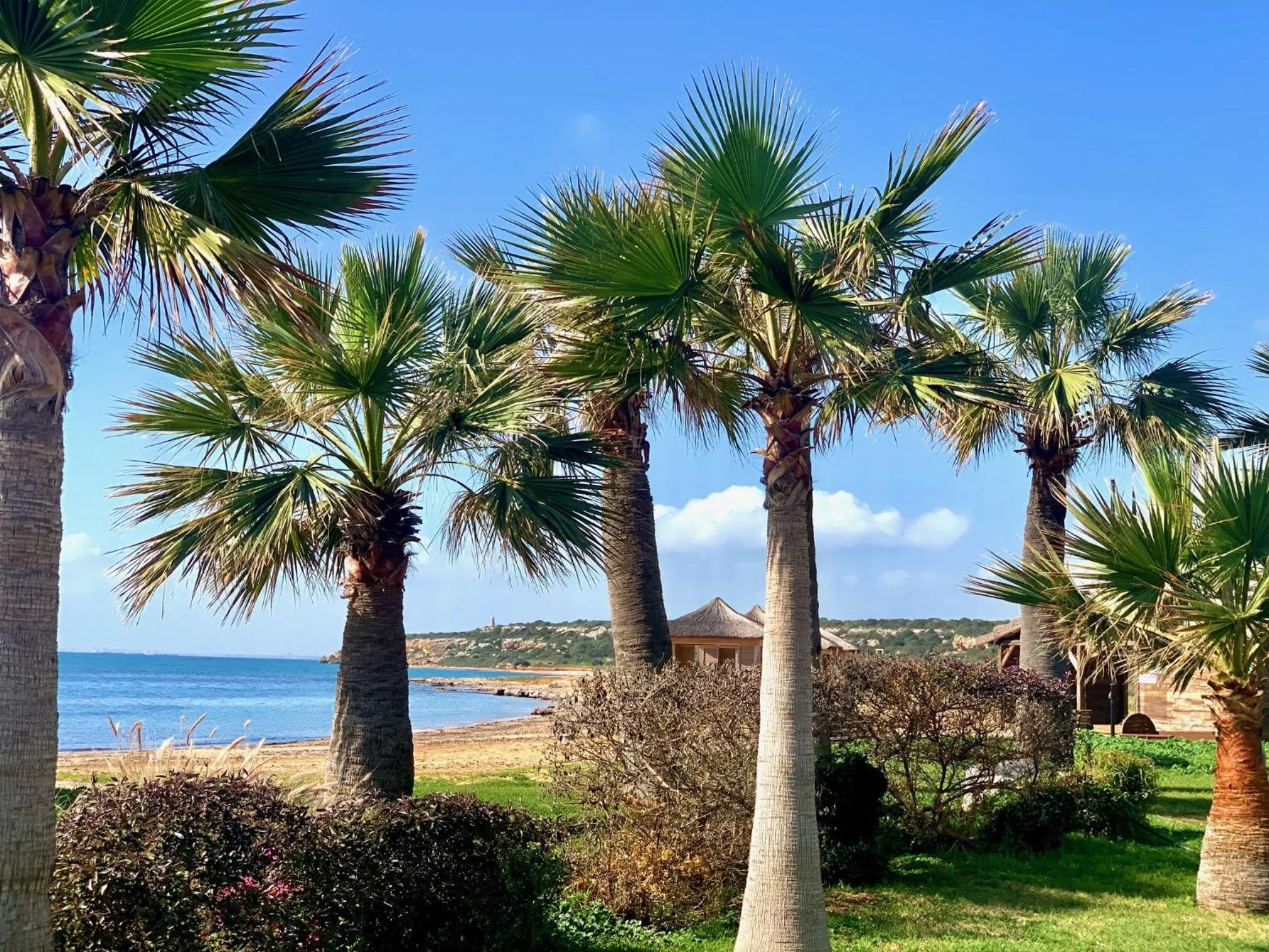 Natural landscape in Peaceful Run-a-way by the Sea