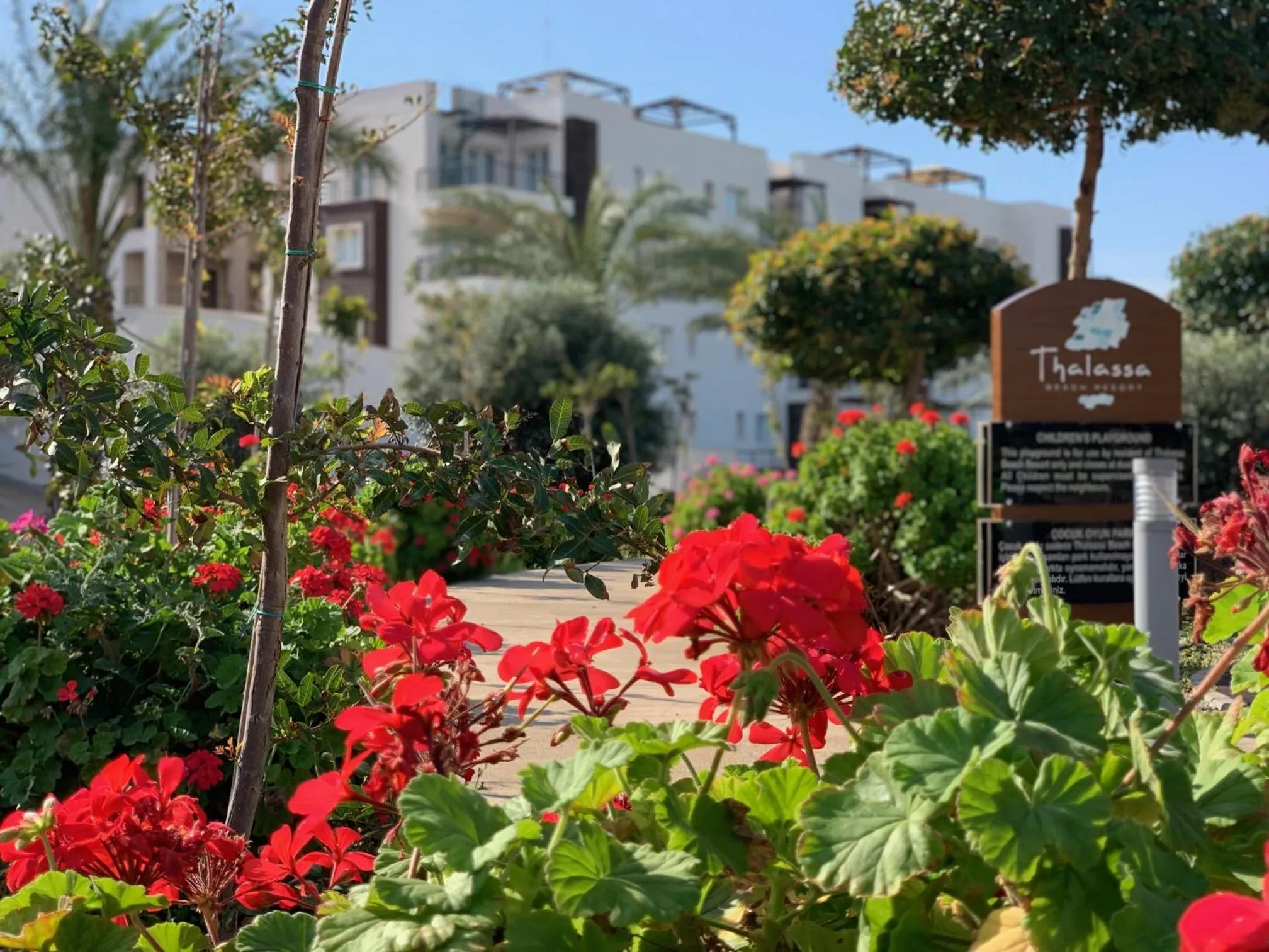 Property building in Peaceful Run-a-way by the Sea