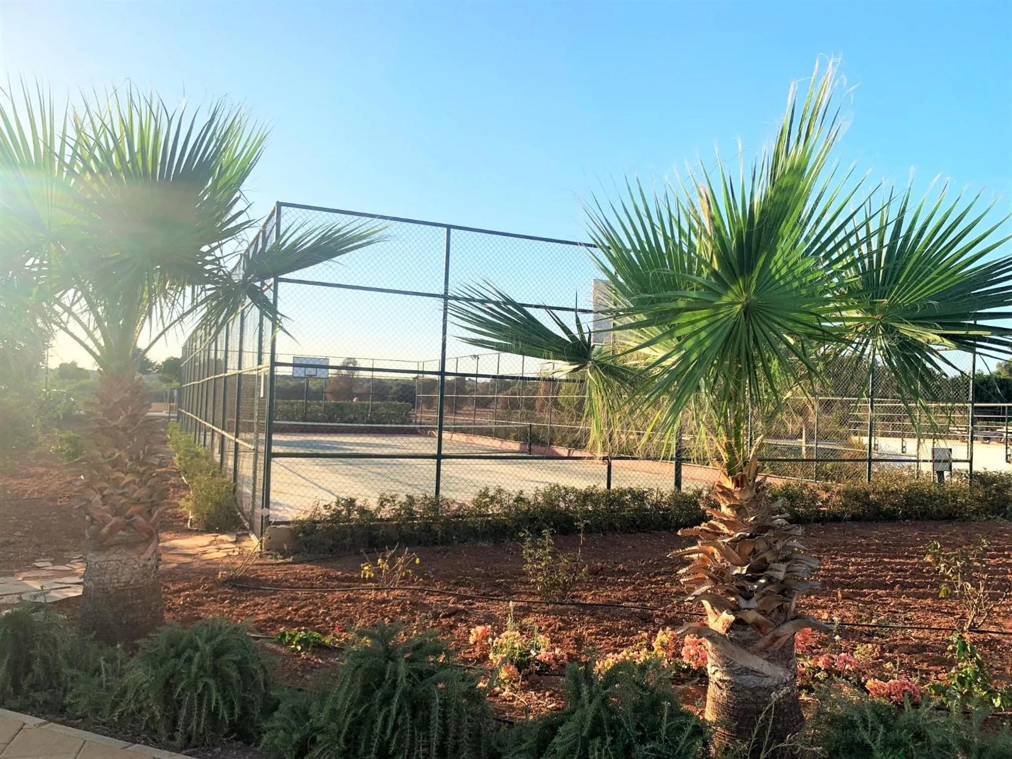 Garden in Peaceful Run-a-way by the Sea