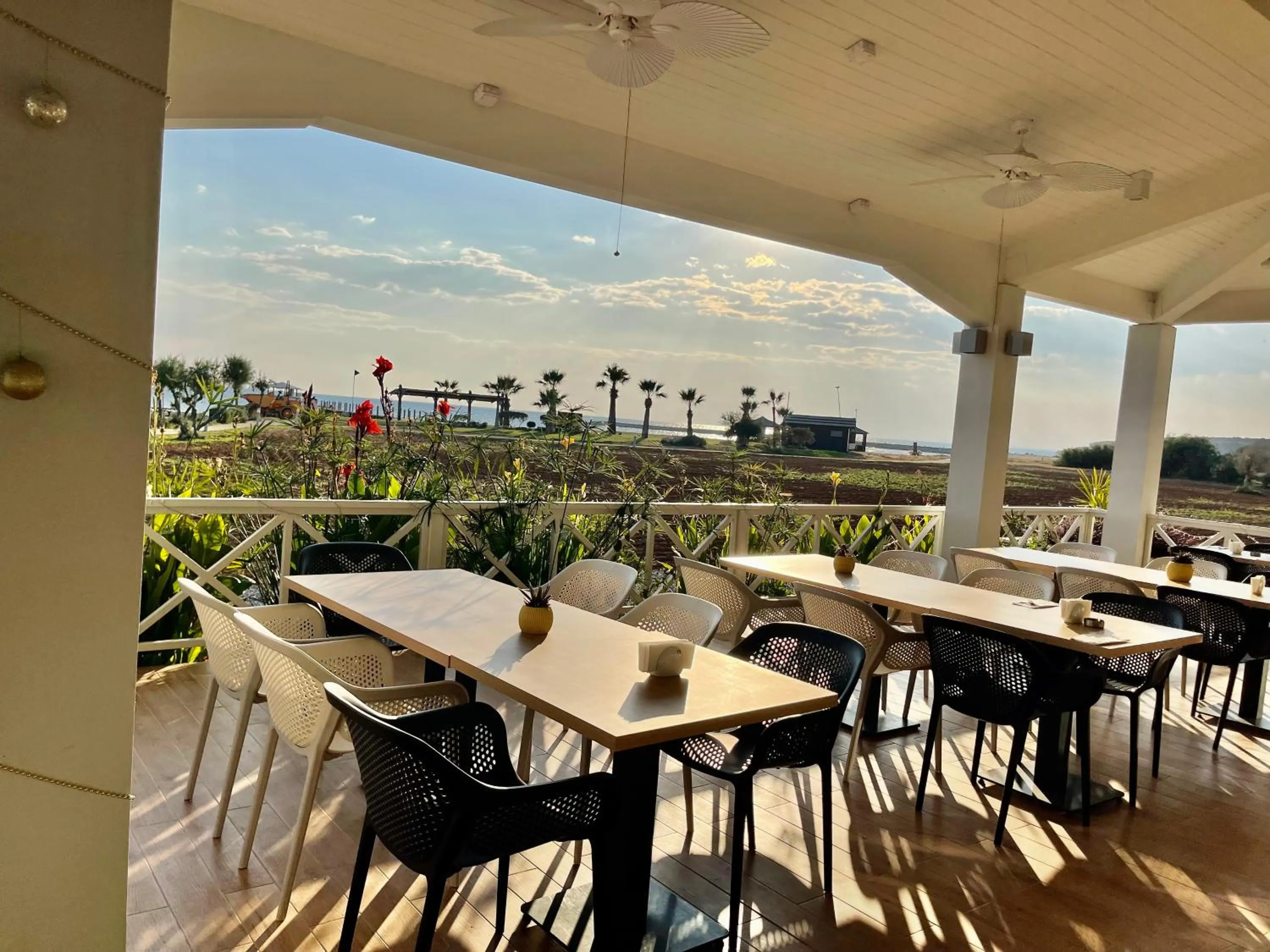 Restaurant/places to eat in Peaceful Run-a-way by the Sea