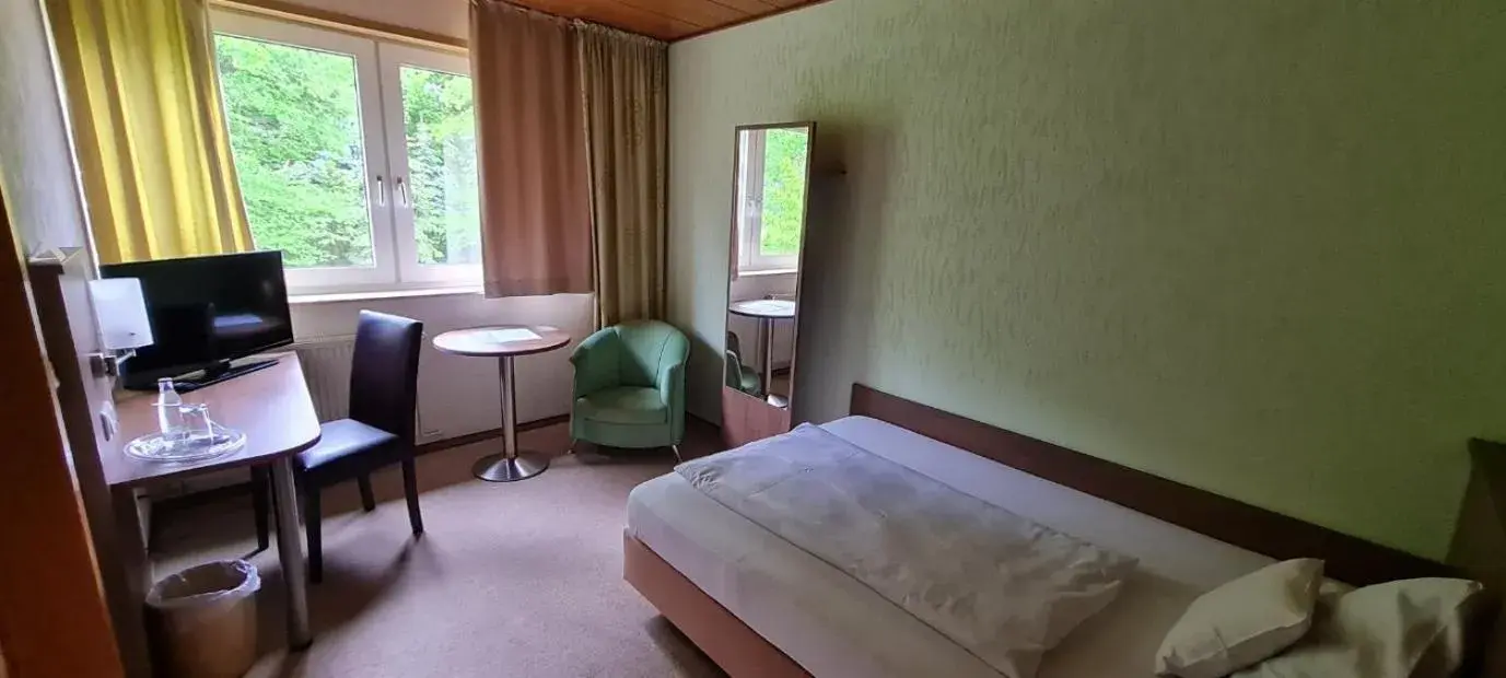 Single Room in Hotel Zur Erholung & Restaurant Amme's Landhaus Single Room in Hotel Zur Erholung & Restaurant Amme's Landhaus