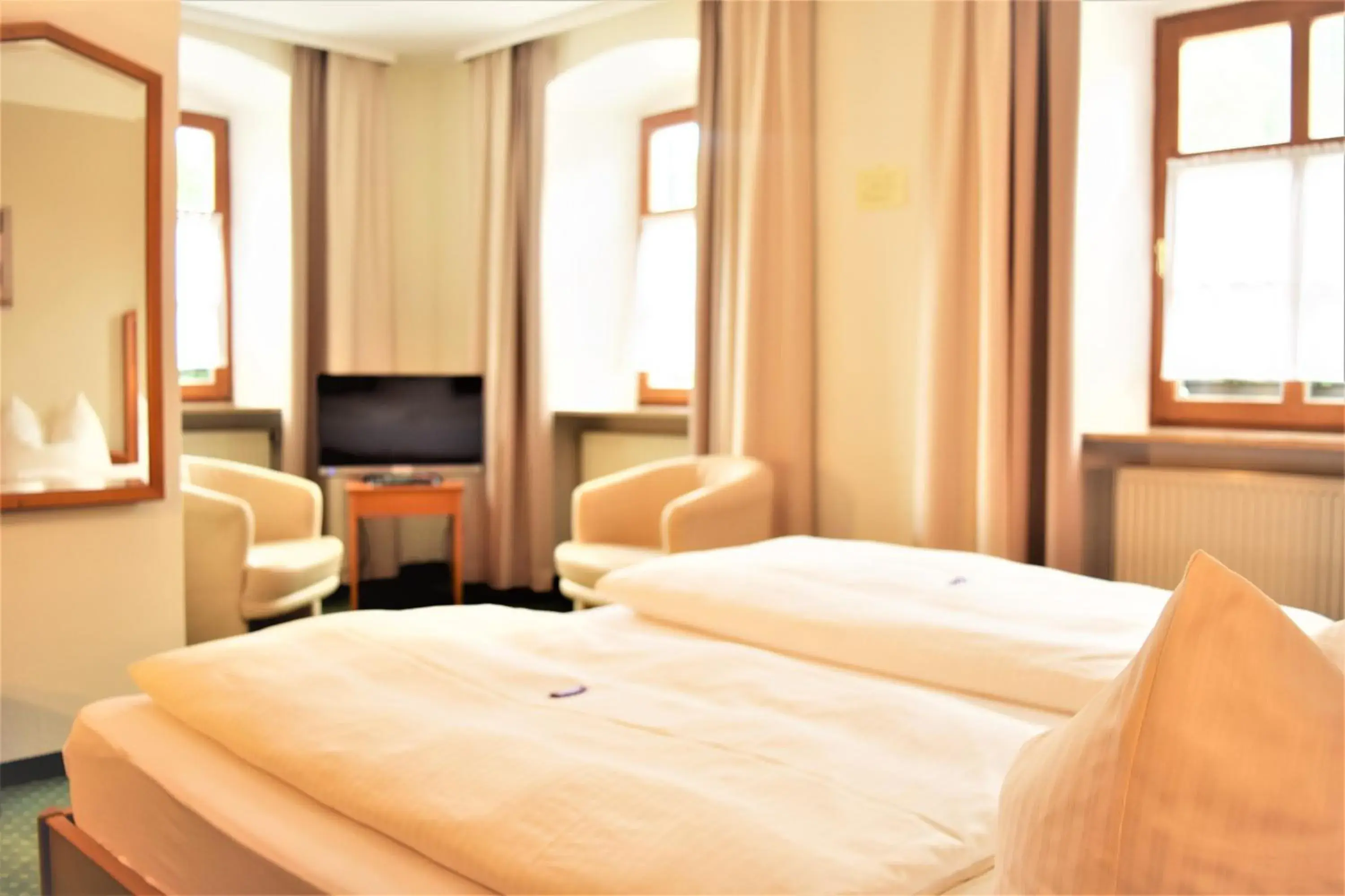 Double Room Anlauter - single occupancy in Hotel zum Bräu Double Room Anlauter - single occupancy in Hotel zum Bräu