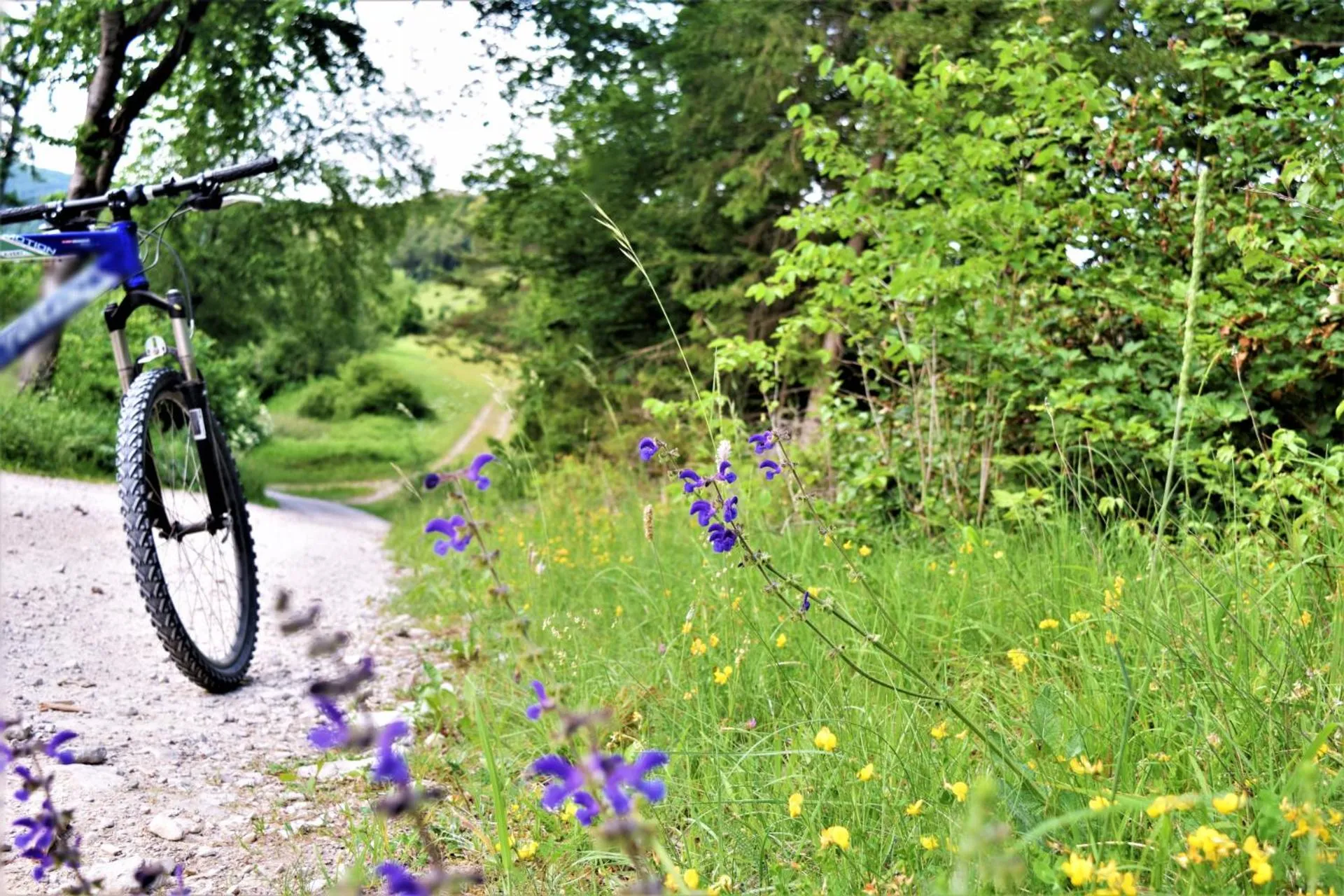 Natural landscape in Hotel zum Bräu