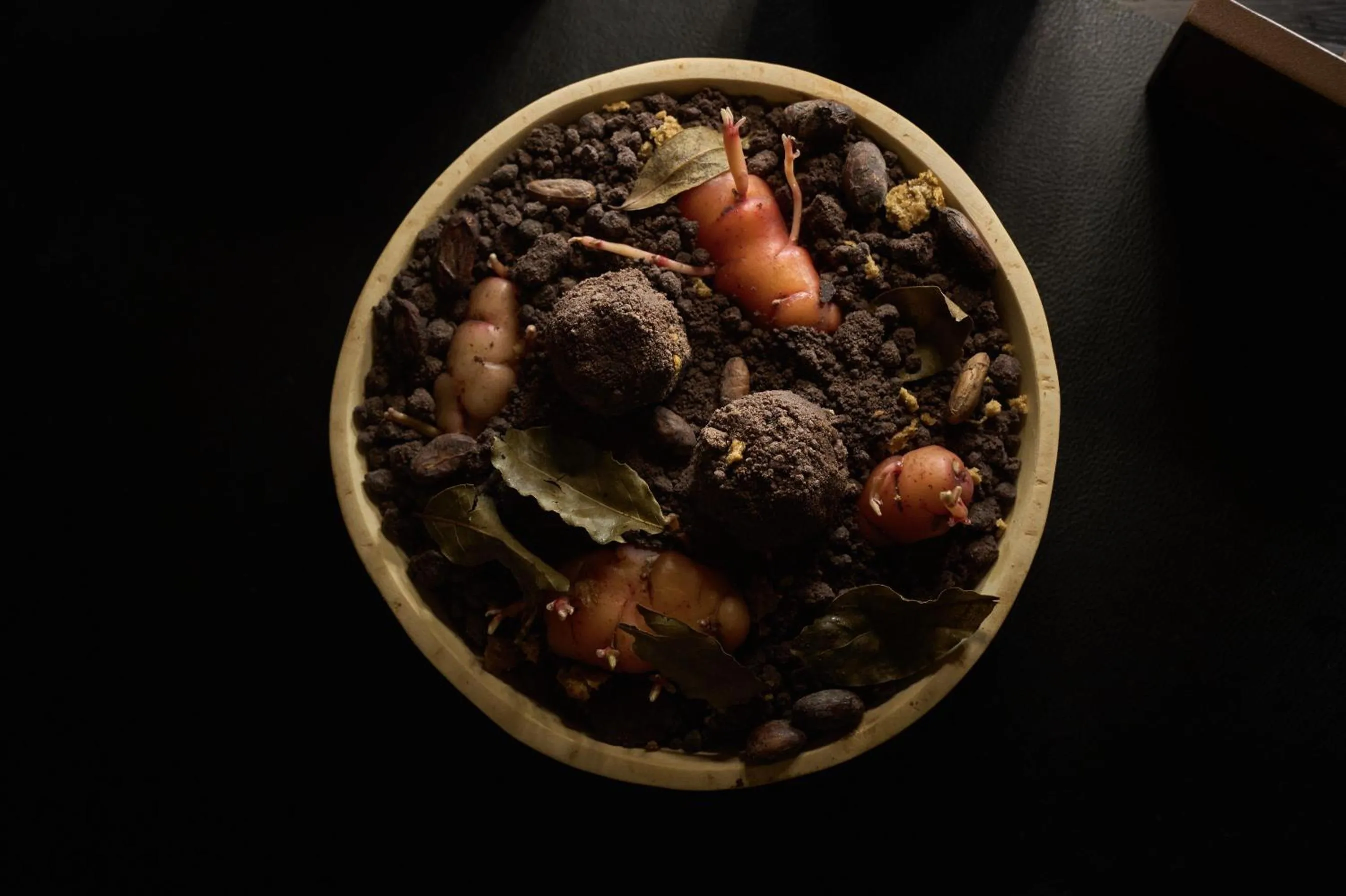 Hotel Rothaus Luzern & Peruvian Culinary Art