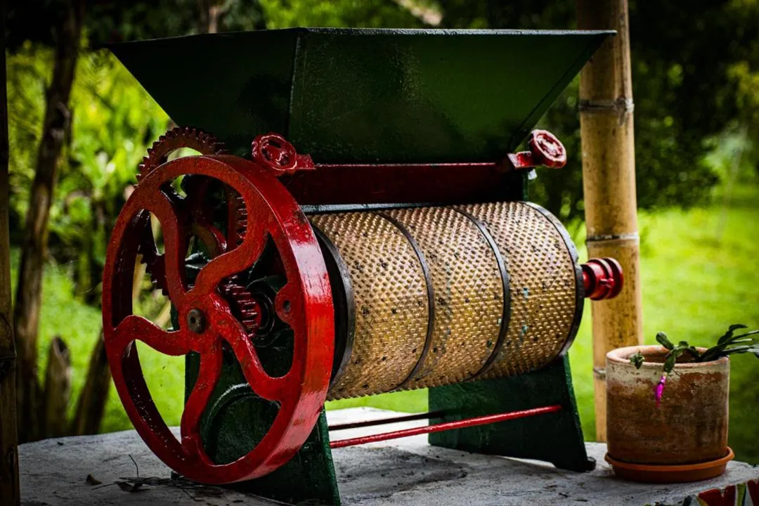 Property building in Villa Cristina - Casa Boutique