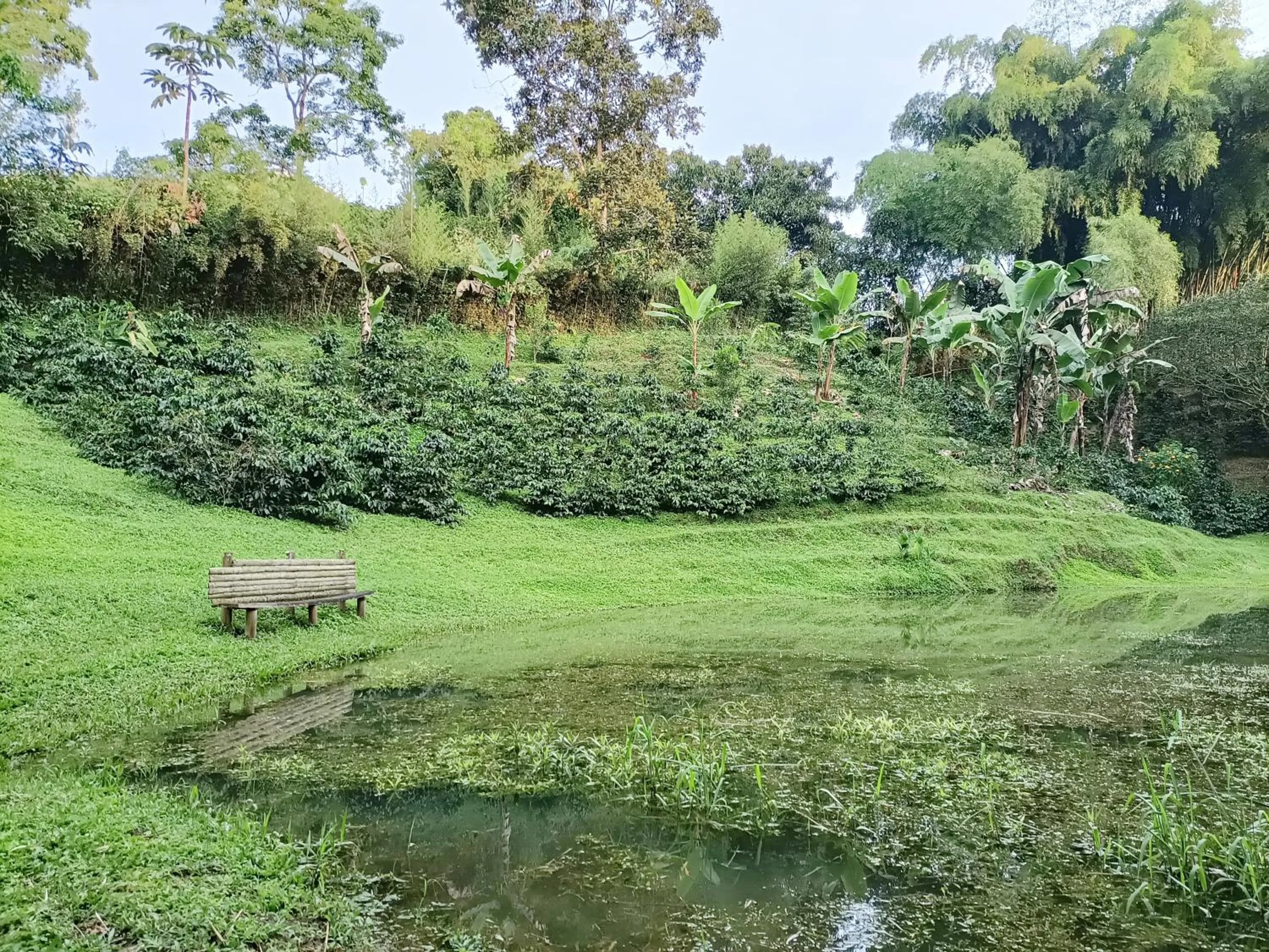 Lake view in Villa Cristina - Casa Boutique