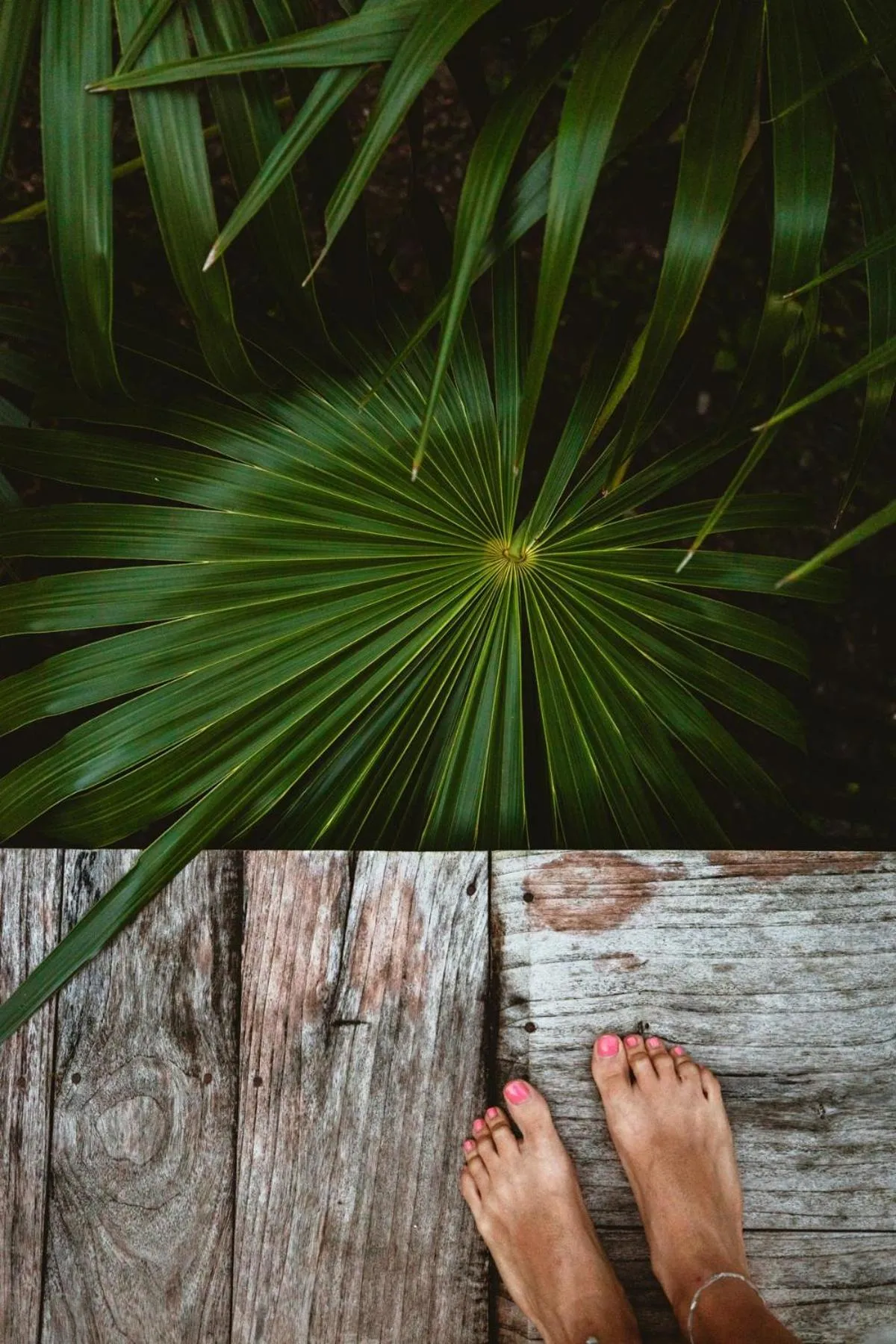 Decorative detail in Azul Nomeolvides Bacalar - Guests Only
