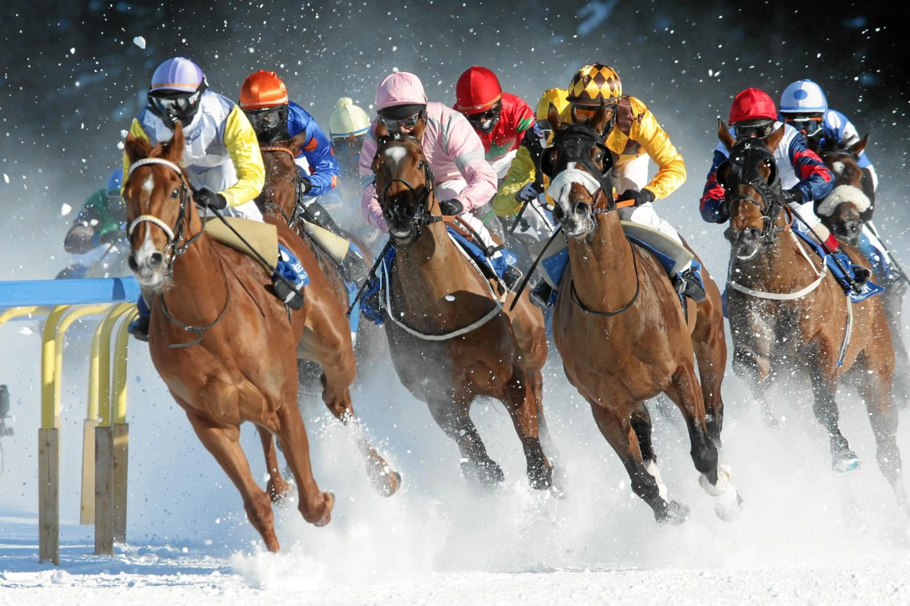 Other in Hotel Schweizerhof Pontresina