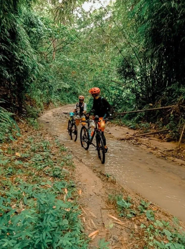 Raw Camping at Camping Paradise Singalong Mountain Garden