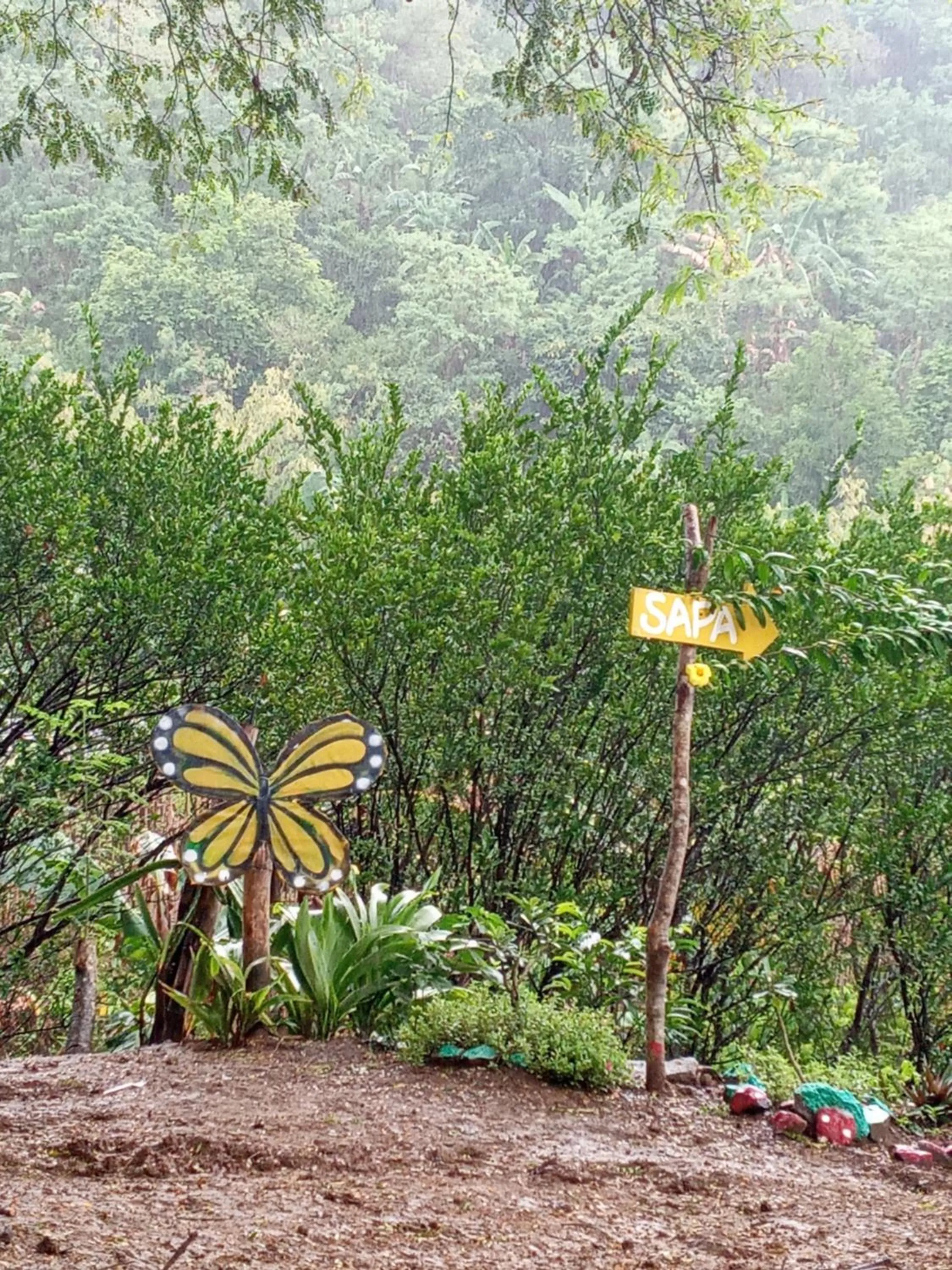 Raw Camping at Camping Paradise Singalong Mountain Garden