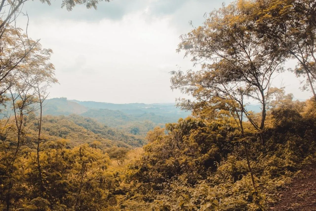 Raw Camping at Camping Paradise Singalong Mountain Garden