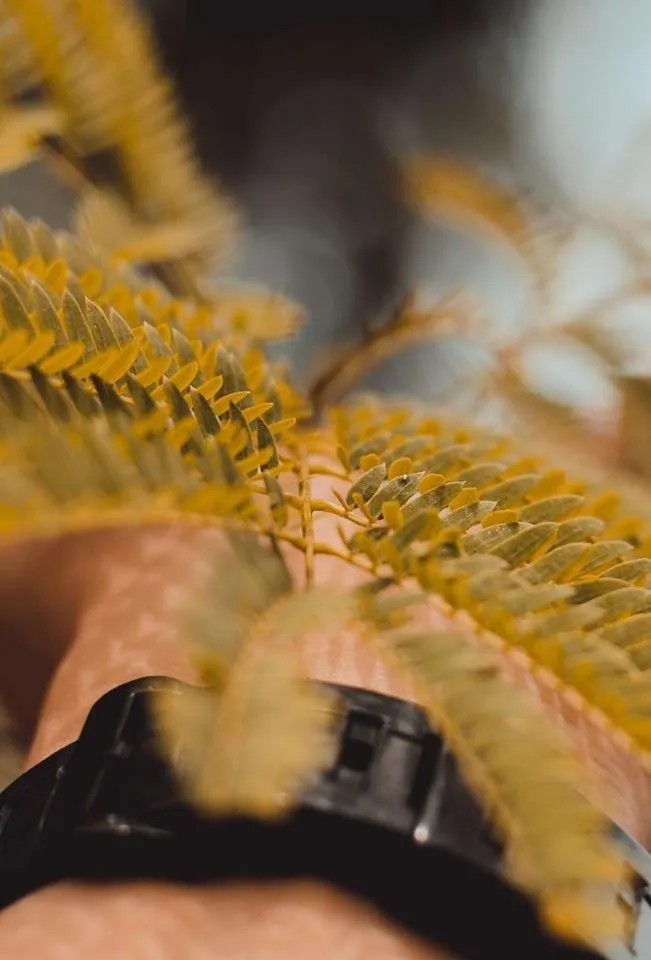 Raw Camping at Camping Paradise Singalong Mountain Garden