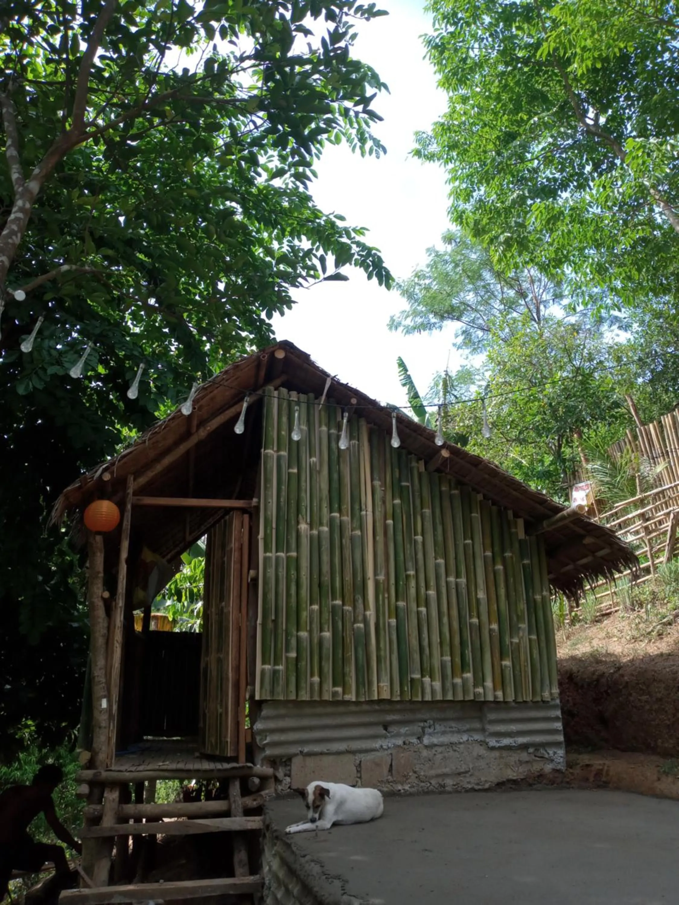 Raw Camping at Camping Paradise Singalong Mountain Garden