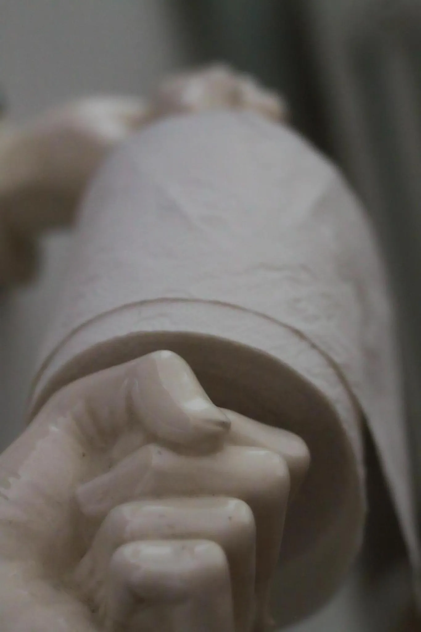 JARDIN D'HIVER CASSEL Suite de 70 m2