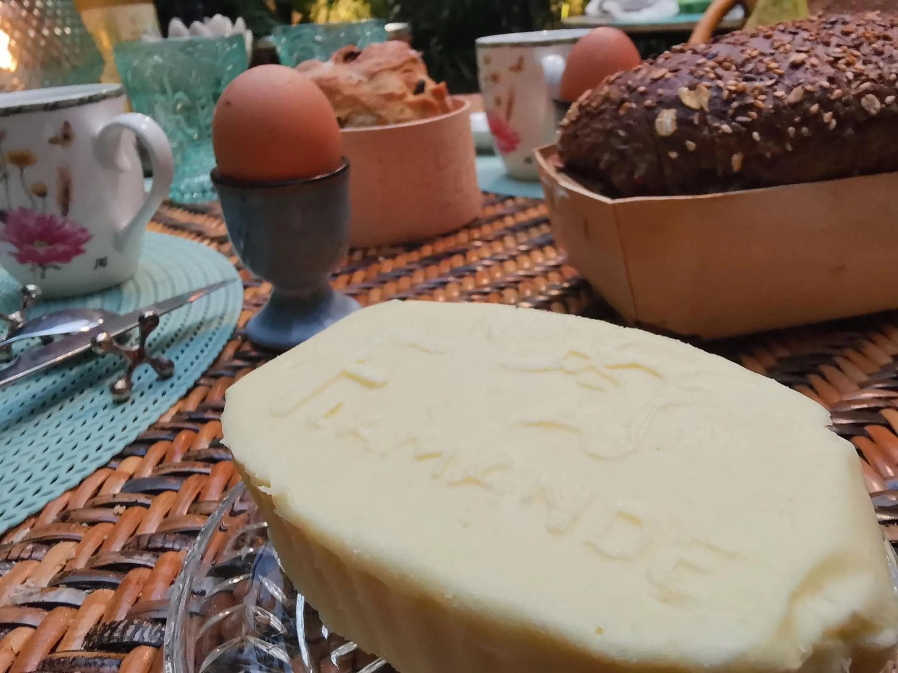 JARDIN D'HIVER CASSEL Suite de 70 m2