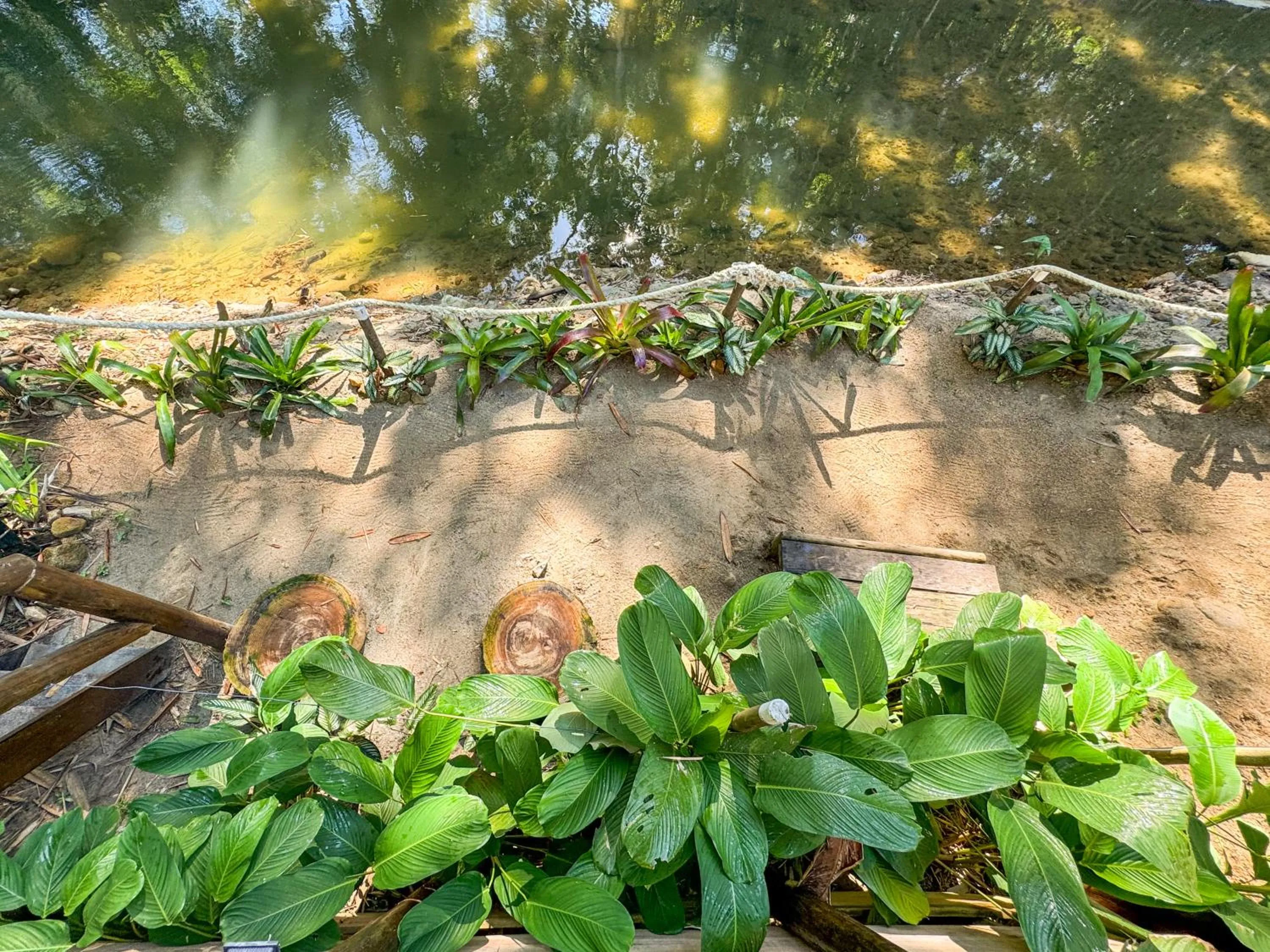 Garden in Pousada Entre Folhas