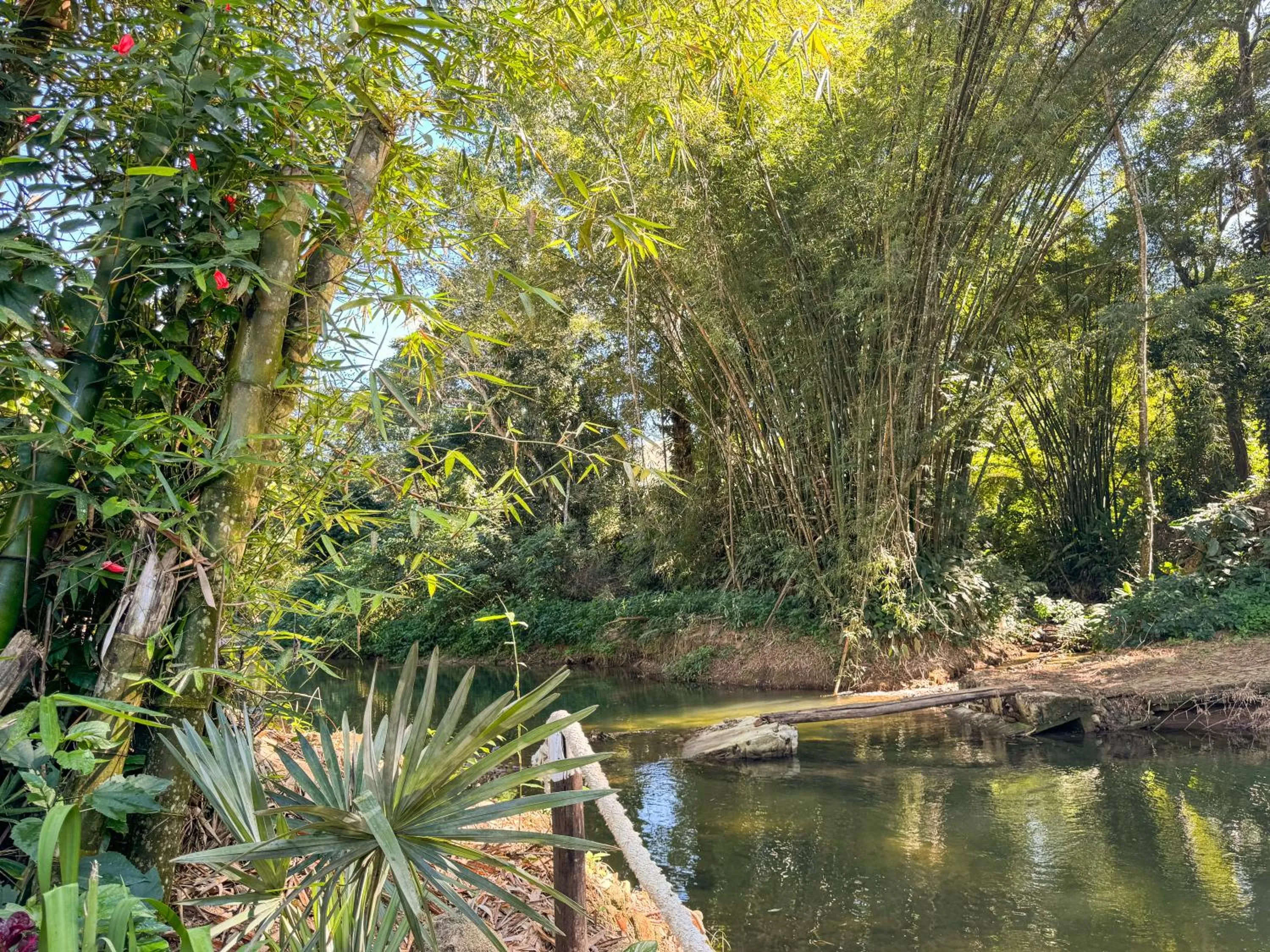 Garden in Pousada Entre Folhas