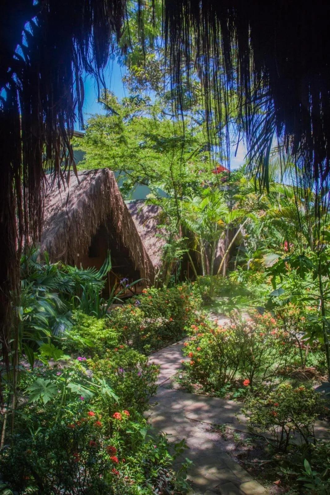 Garden view in Chez Max Pousada