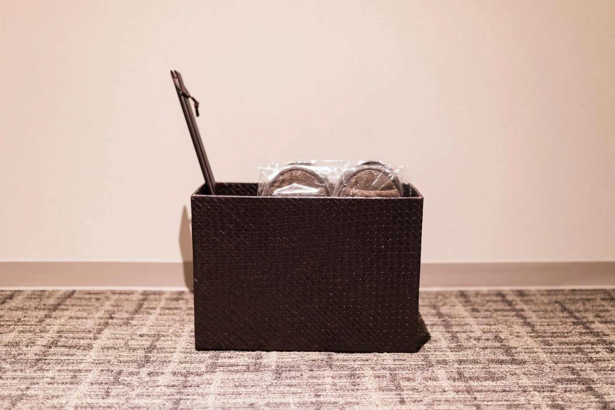 Photo of the whole room in HOTEL ASYL TOKYO KAMATA