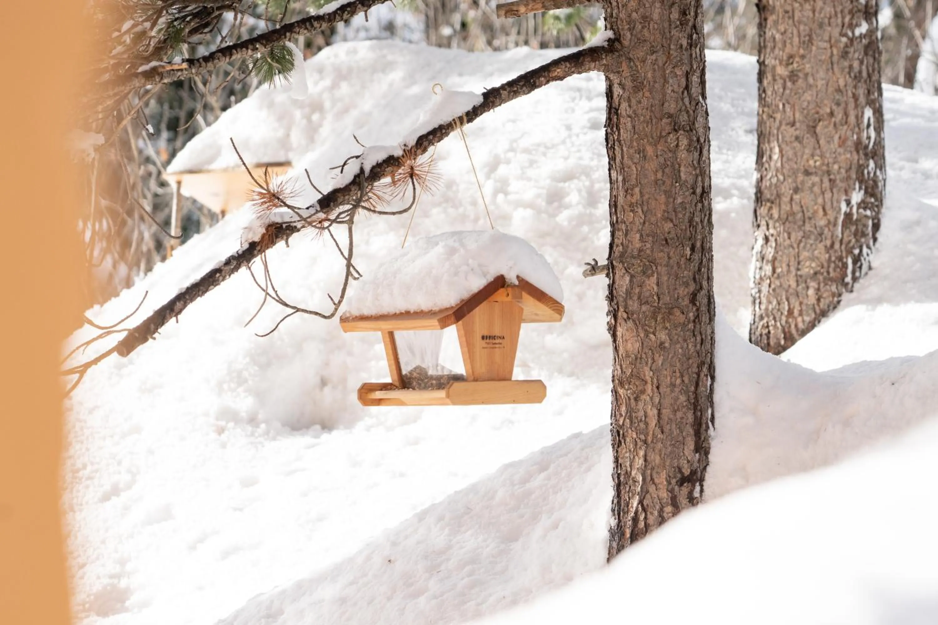 Property building in Hotel Chesa Spuondas