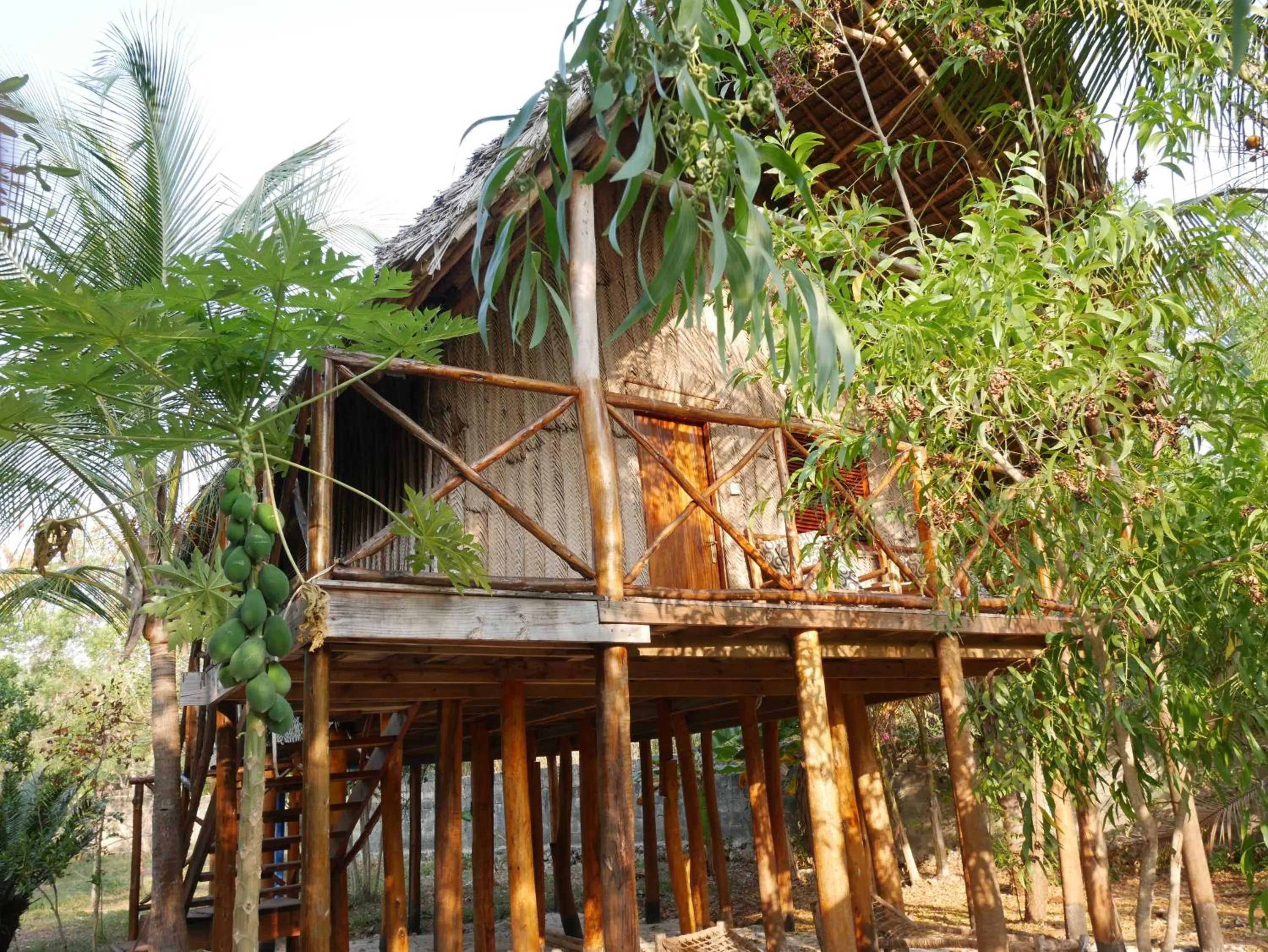 Garden view in COCO REEF ECOLODGE