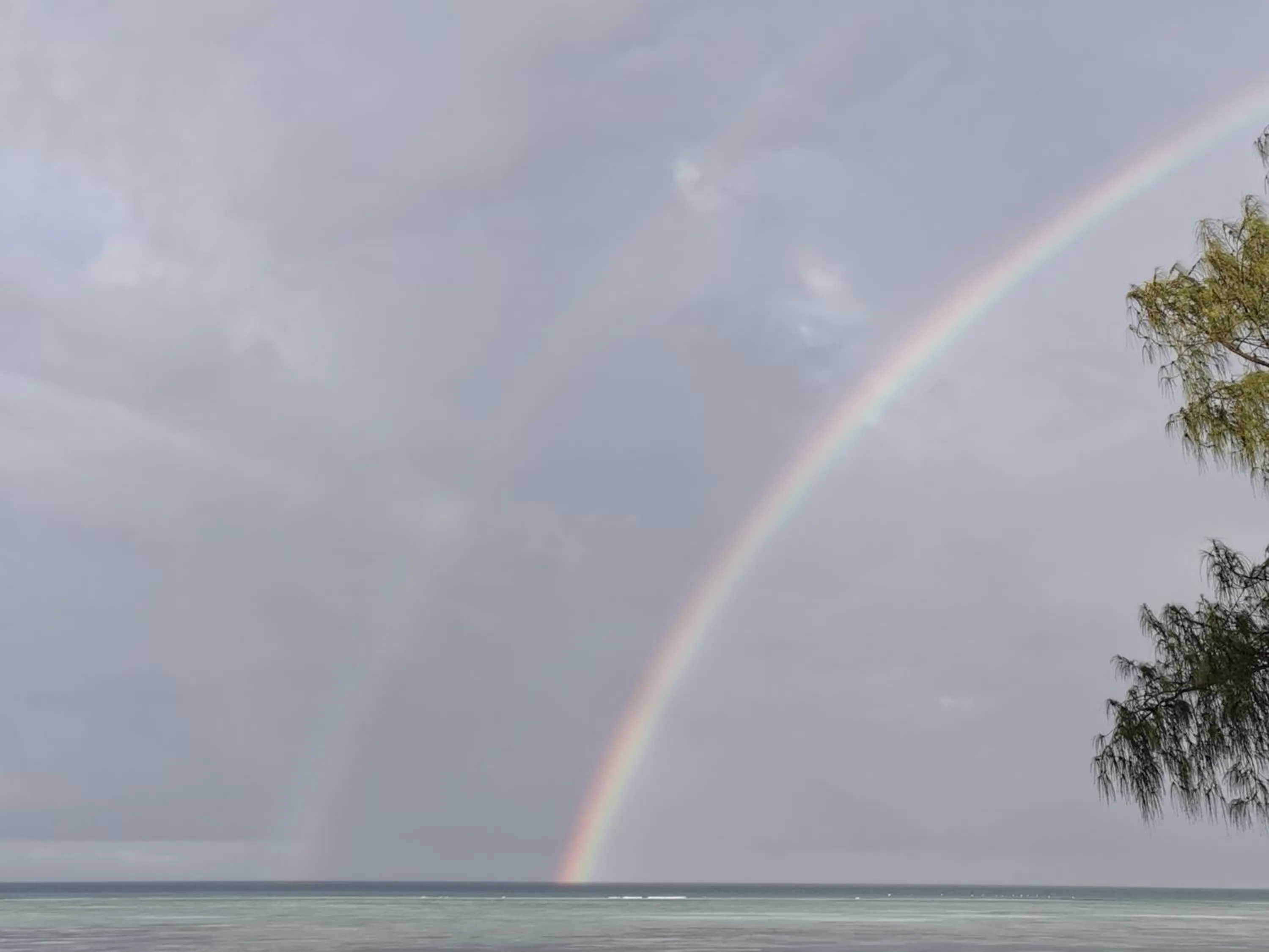 COCO REEF ECOLODGE